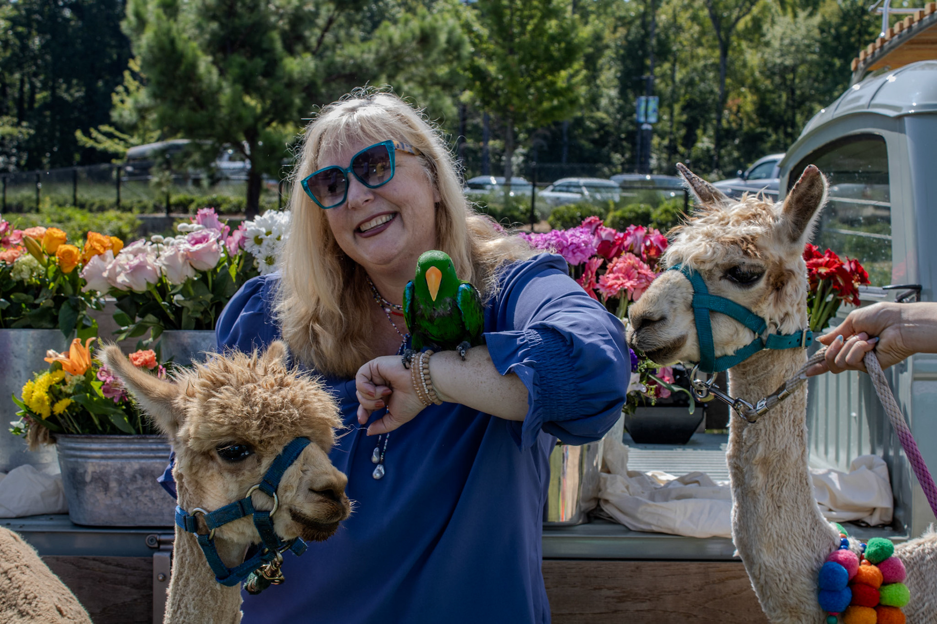 Gwinnett Technical College Alpharetta North Fulton Back To School Bash