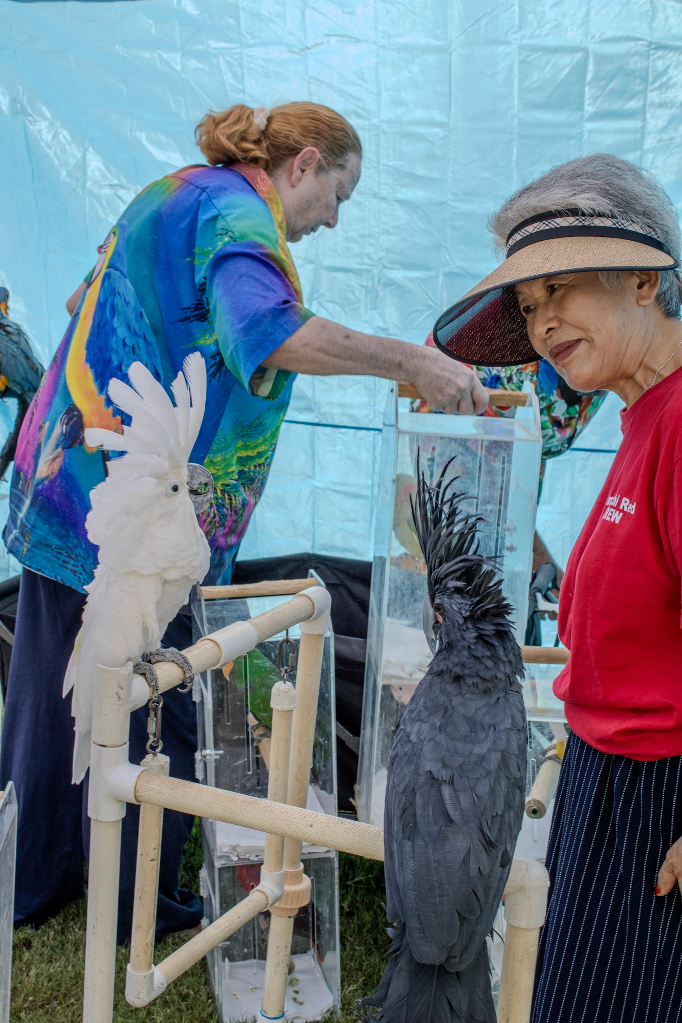 Gwinnett Technical College Alpharetta North Fulton Back To School Bash