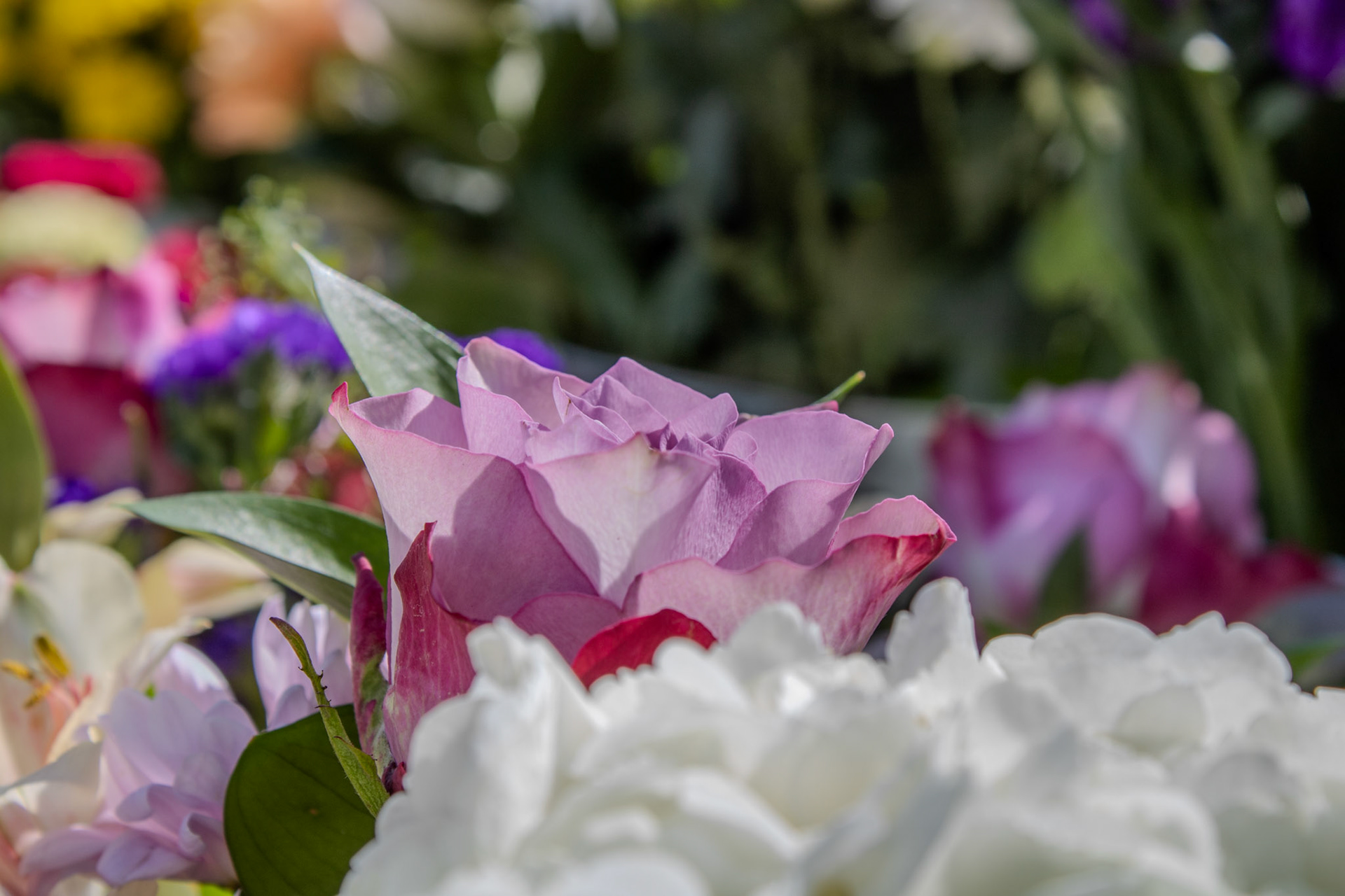 Gwinnett Technical College Alpharetta North Fulton Back To School Bash