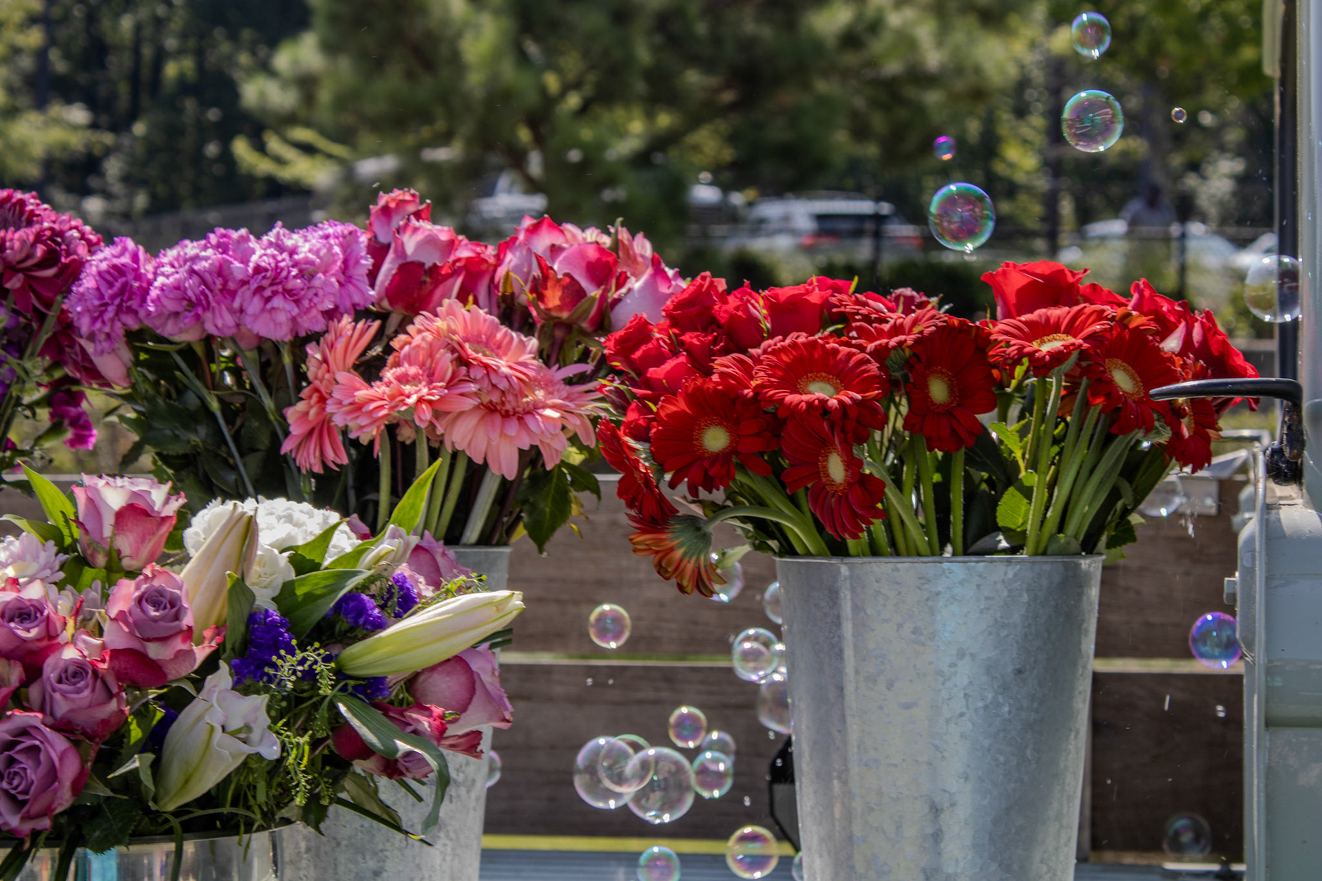 Gwinnett Technical College Alpharetta North Fulton Back To School Bash