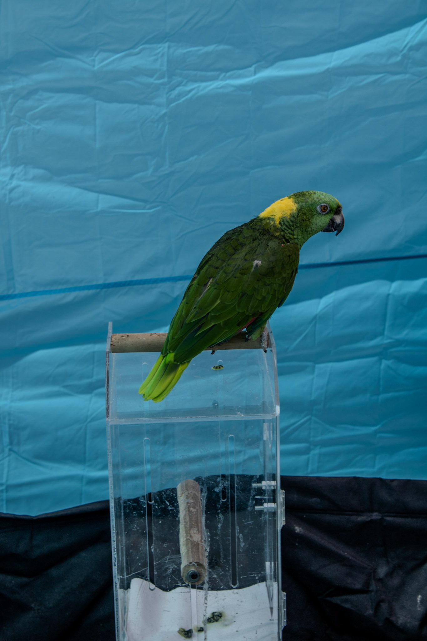 Gwinnett Technical College Alpharetta North Fulton Back To School Bash