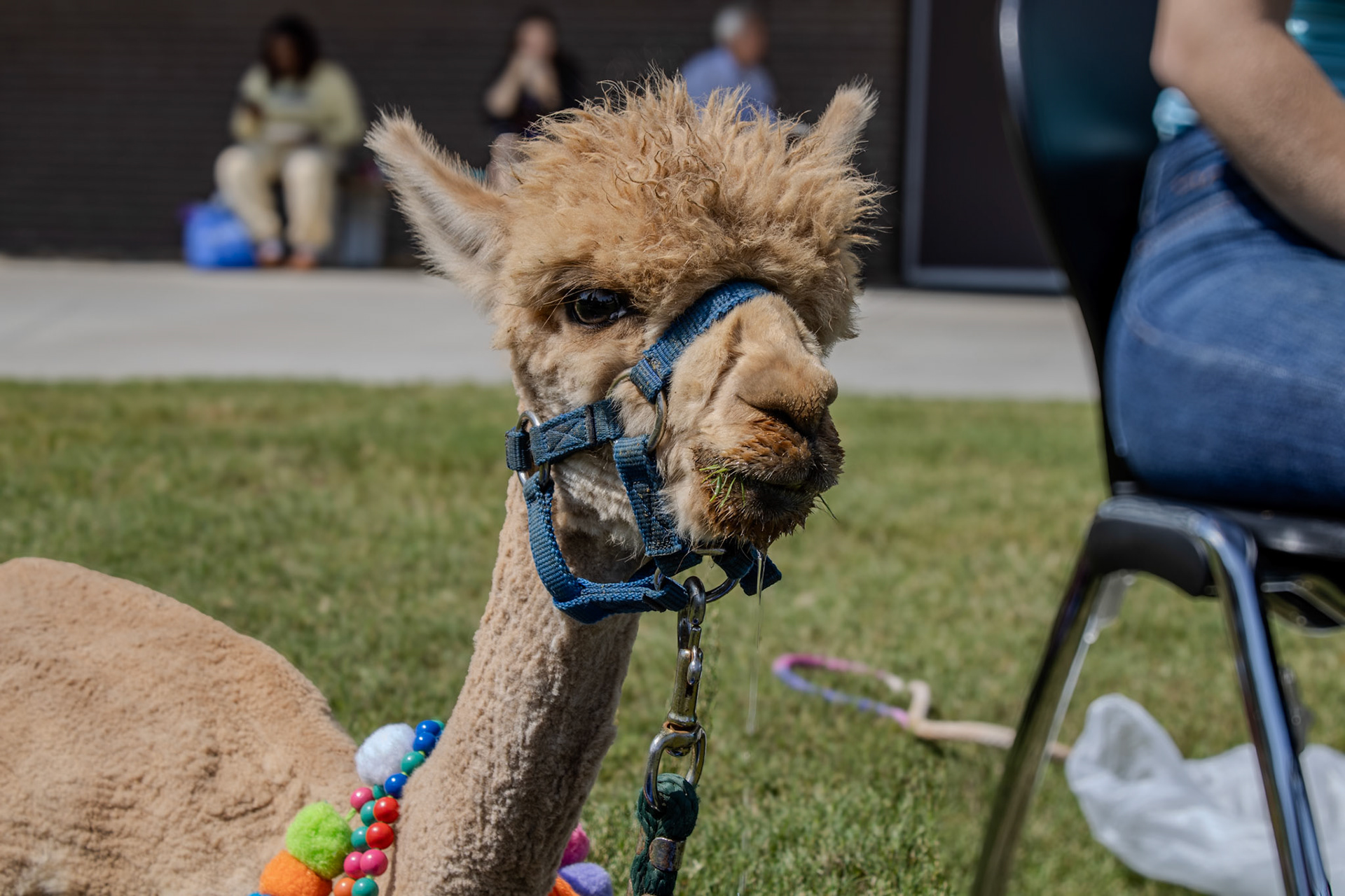 Gwinnett Technical College Alpharetta North Fulton Back To School Bash