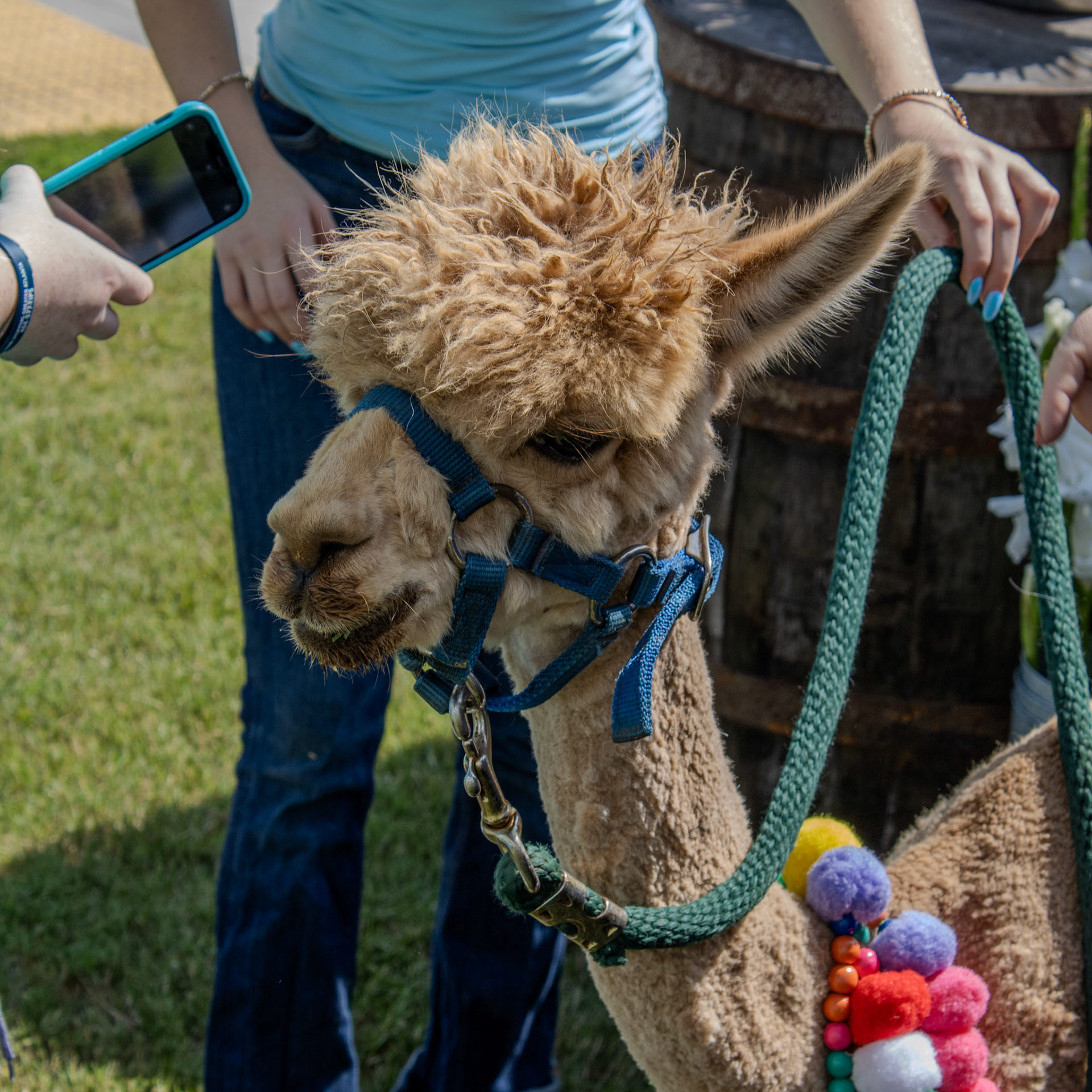 Gwinnett Technical College Alpharetta North Fulton Back To School Bash