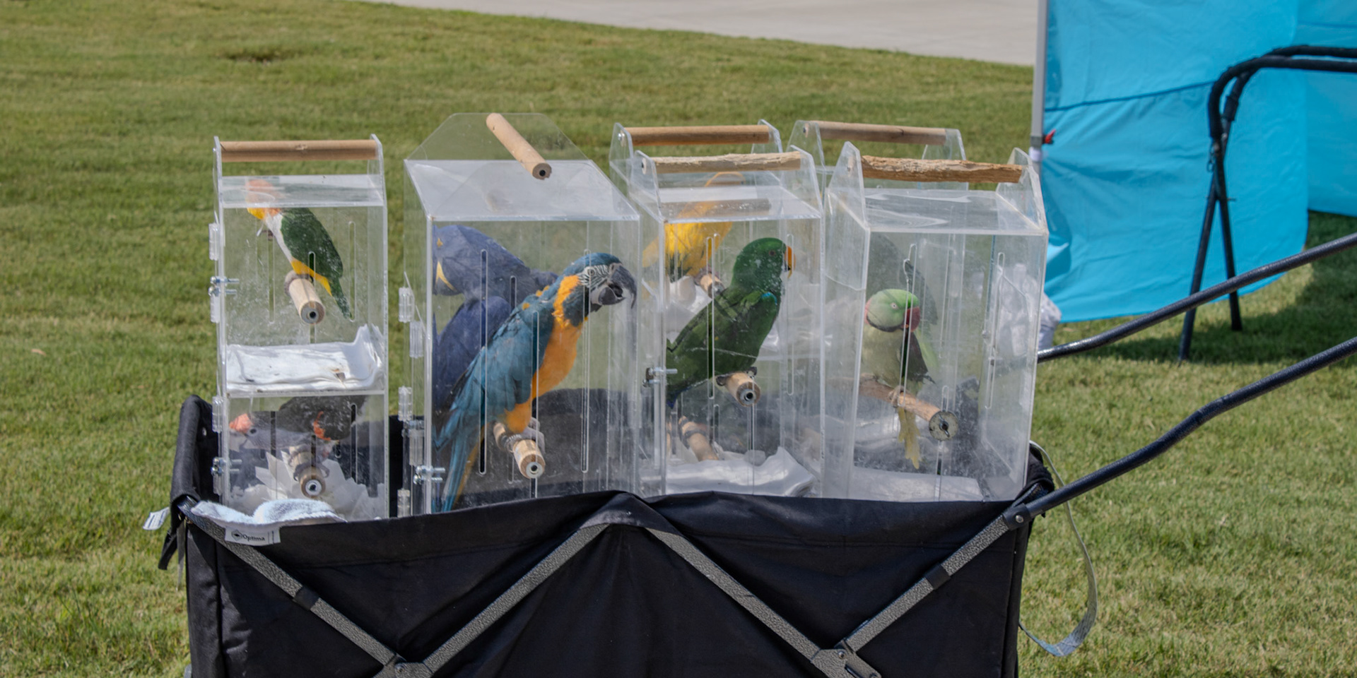 Gwinnett Technical College Alpharetta North Fulton Back To School Bash