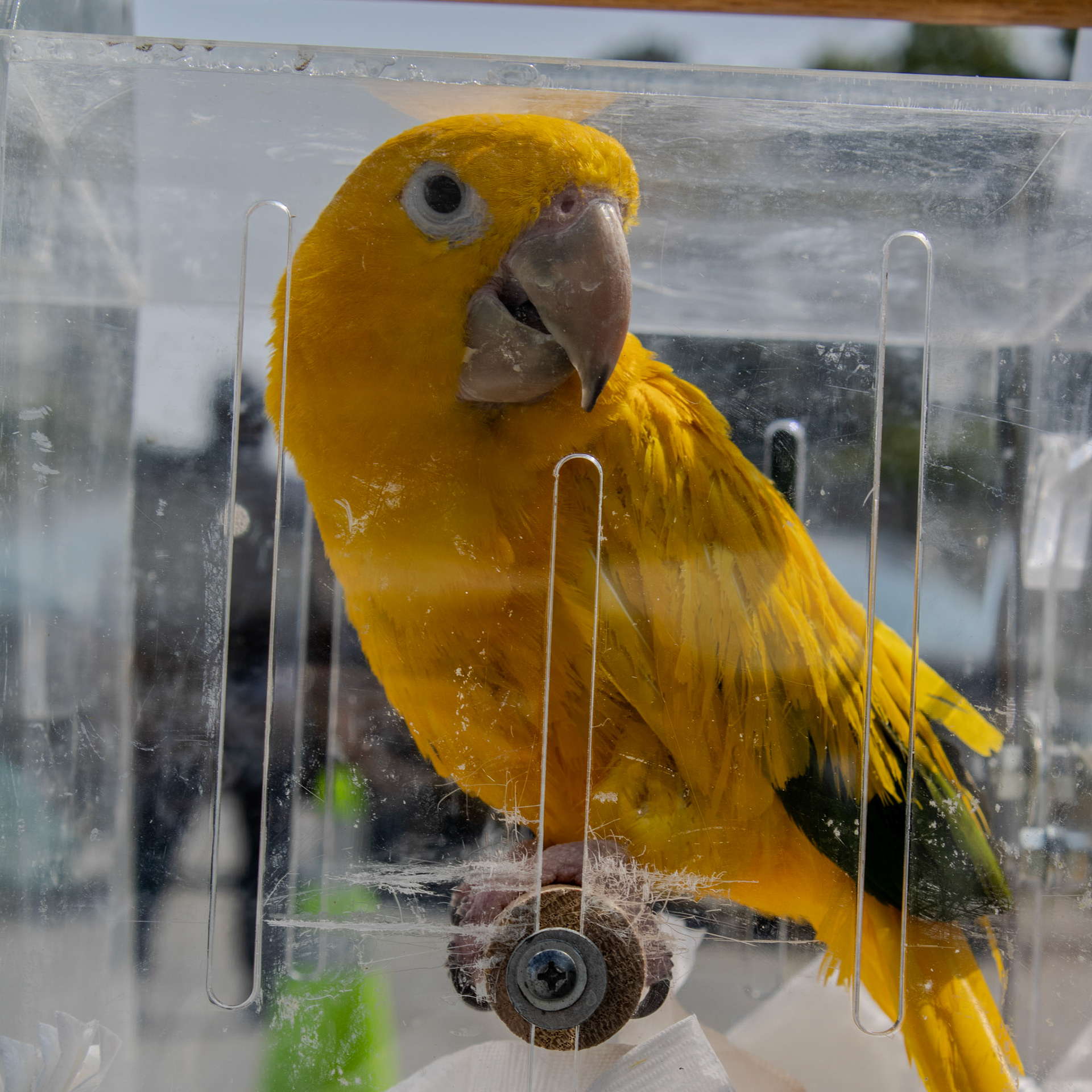 Gwinnett Technical College Alpharetta North Fulton Back To School Bash