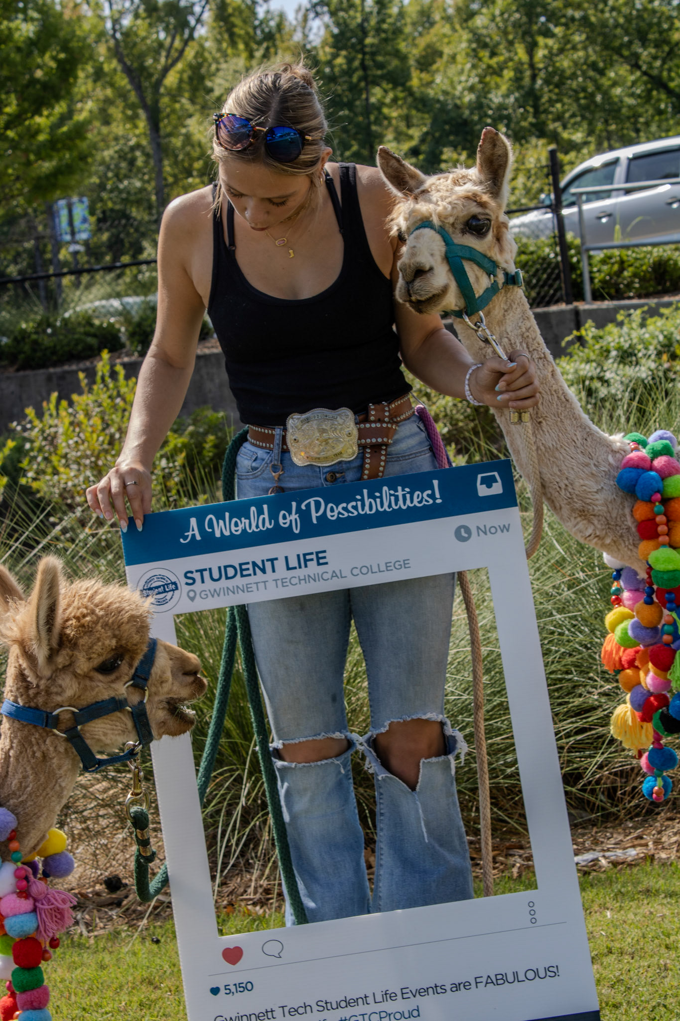 Gwinnett Technical College Alpharetta North Fulton Back To School Bash