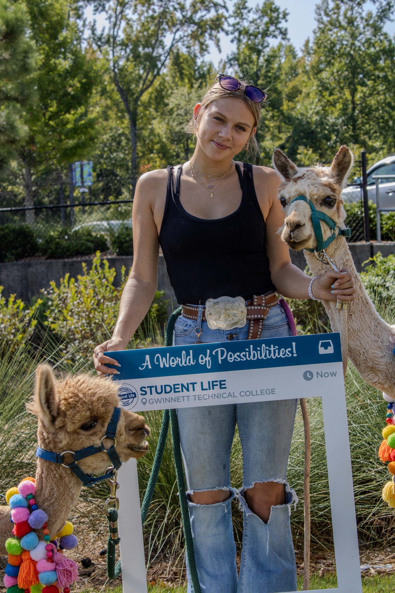 Gwinnett Technical College Alpharetta North Fulton Back To School Bash