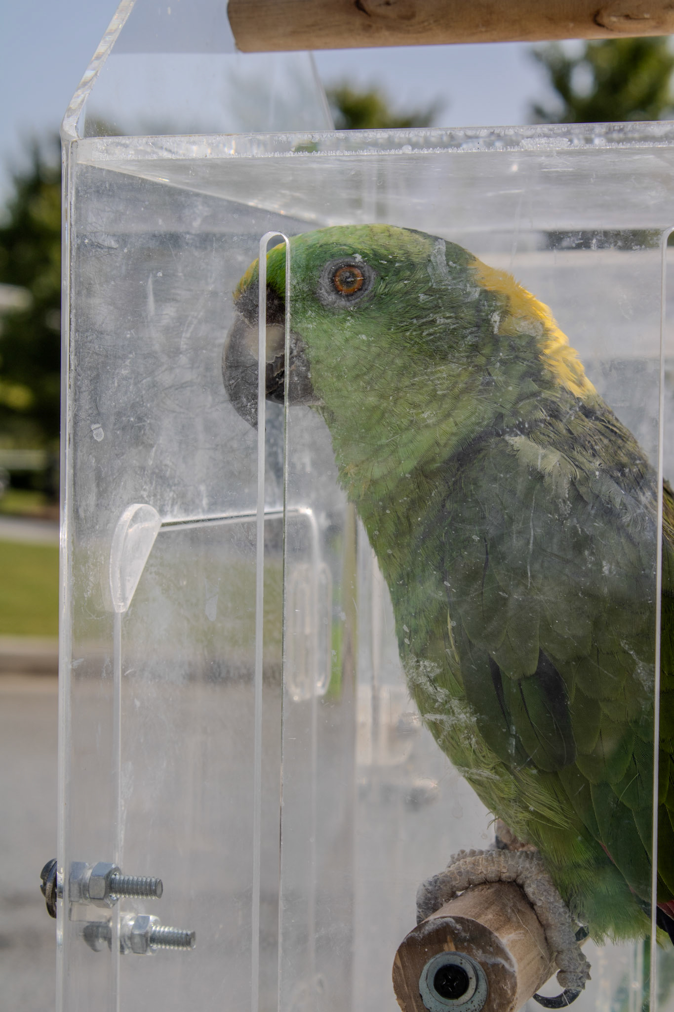 Gwinnett Technical College Alpharetta North Fulton Back To School Bash