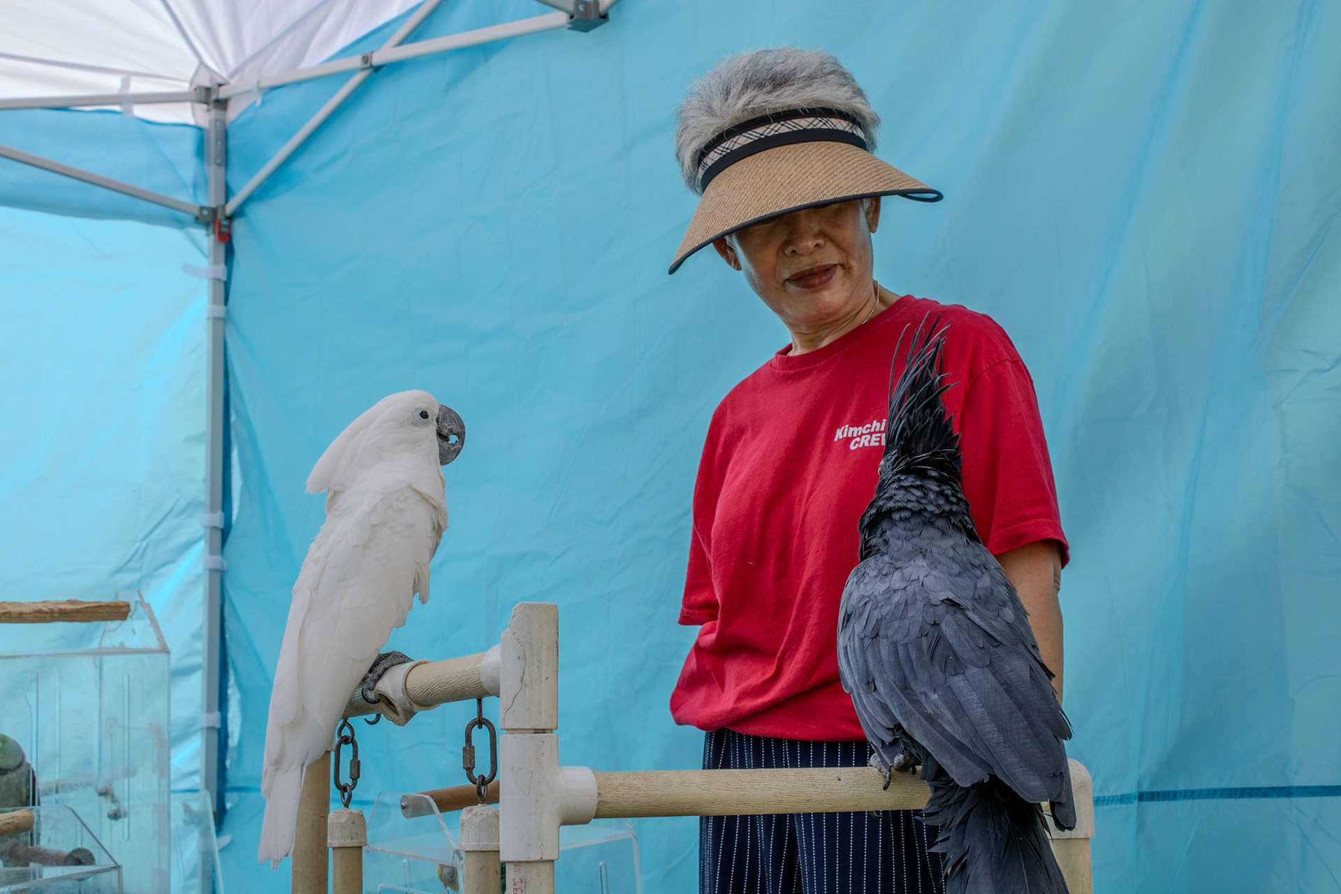 Gwinnett Technical College Alpharetta North Fulton Back To School Bash