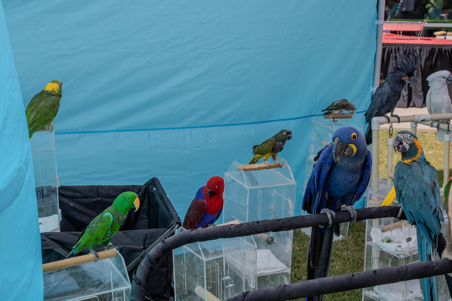 Gwinnett Technical College Alpharetta North Fulton Back To School Bash