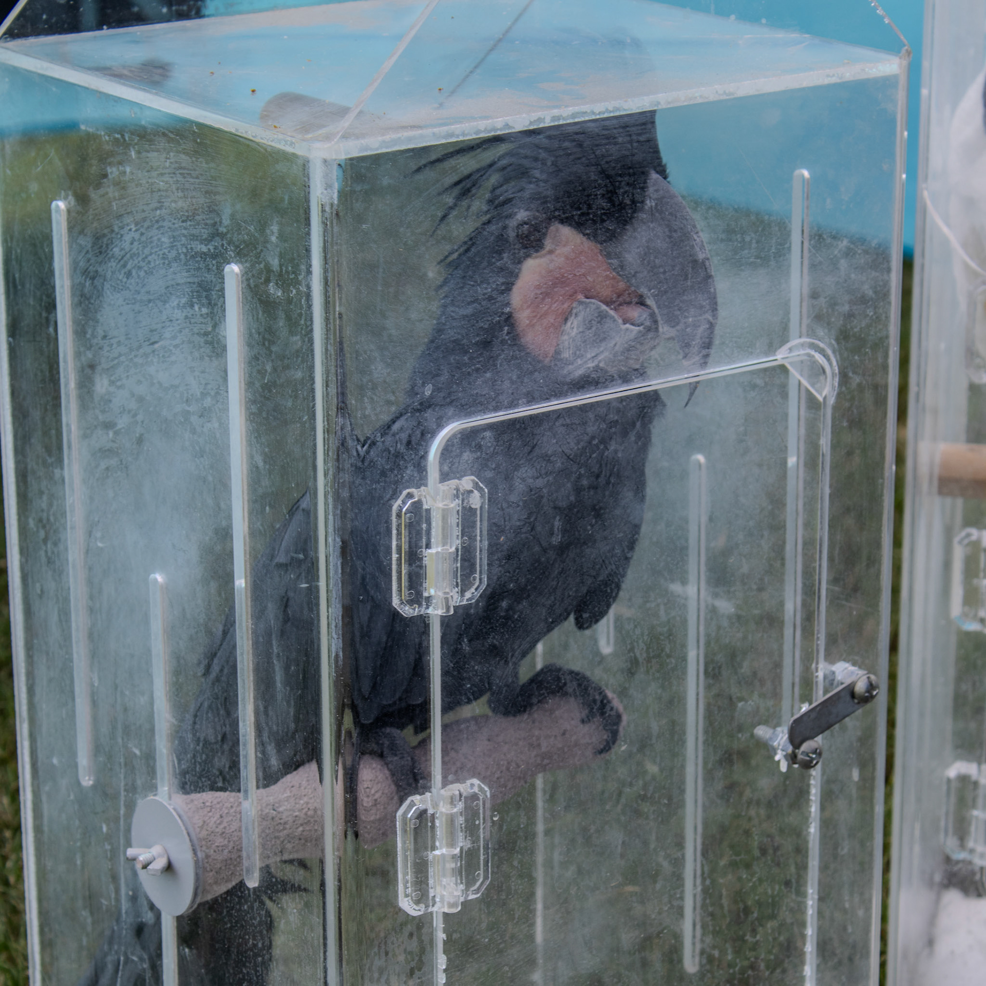 Gwinnett Technical College Alpharetta North Fulton Back To School Bash