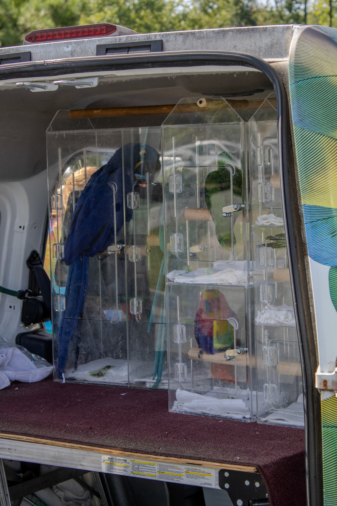 Gwinnett Technical College Alpharetta North Fulton Back To School Bash