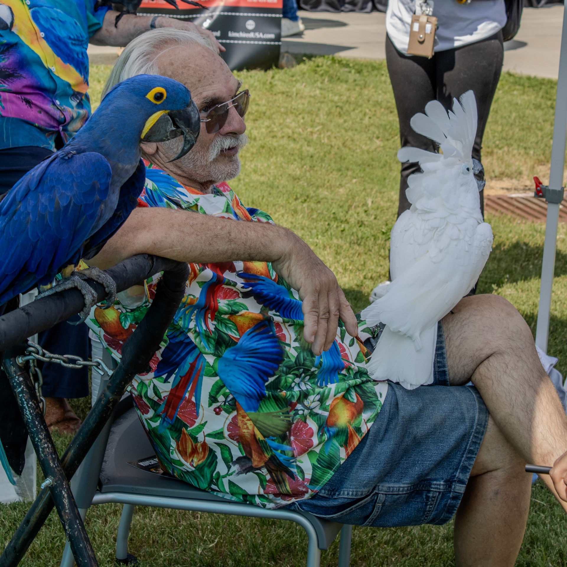 Gwinnett Technical College Alpharetta North Fulton Back To School Bash