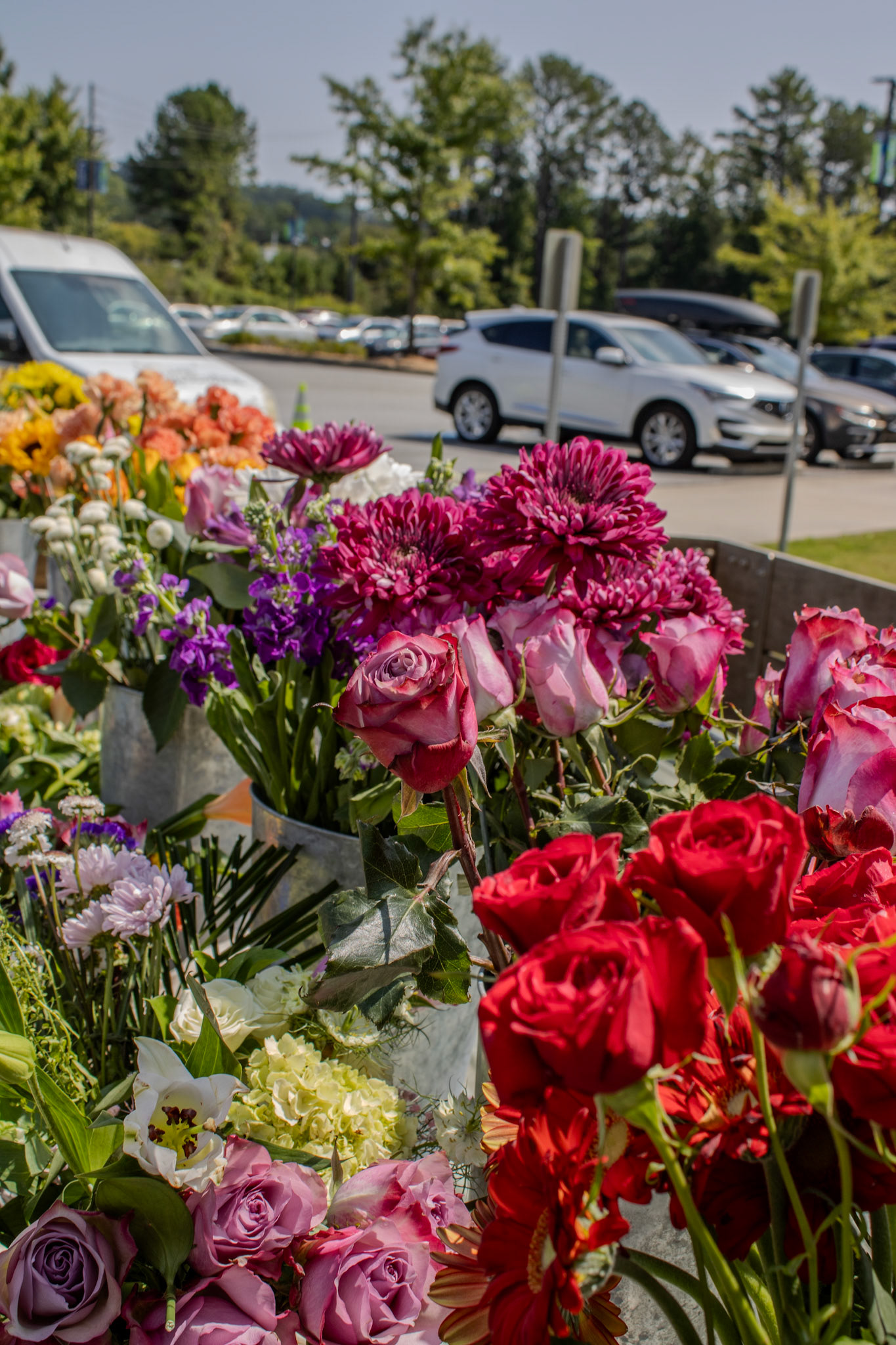 Gwinnett Technical College Alpharetta North Fulton Back To School Bash