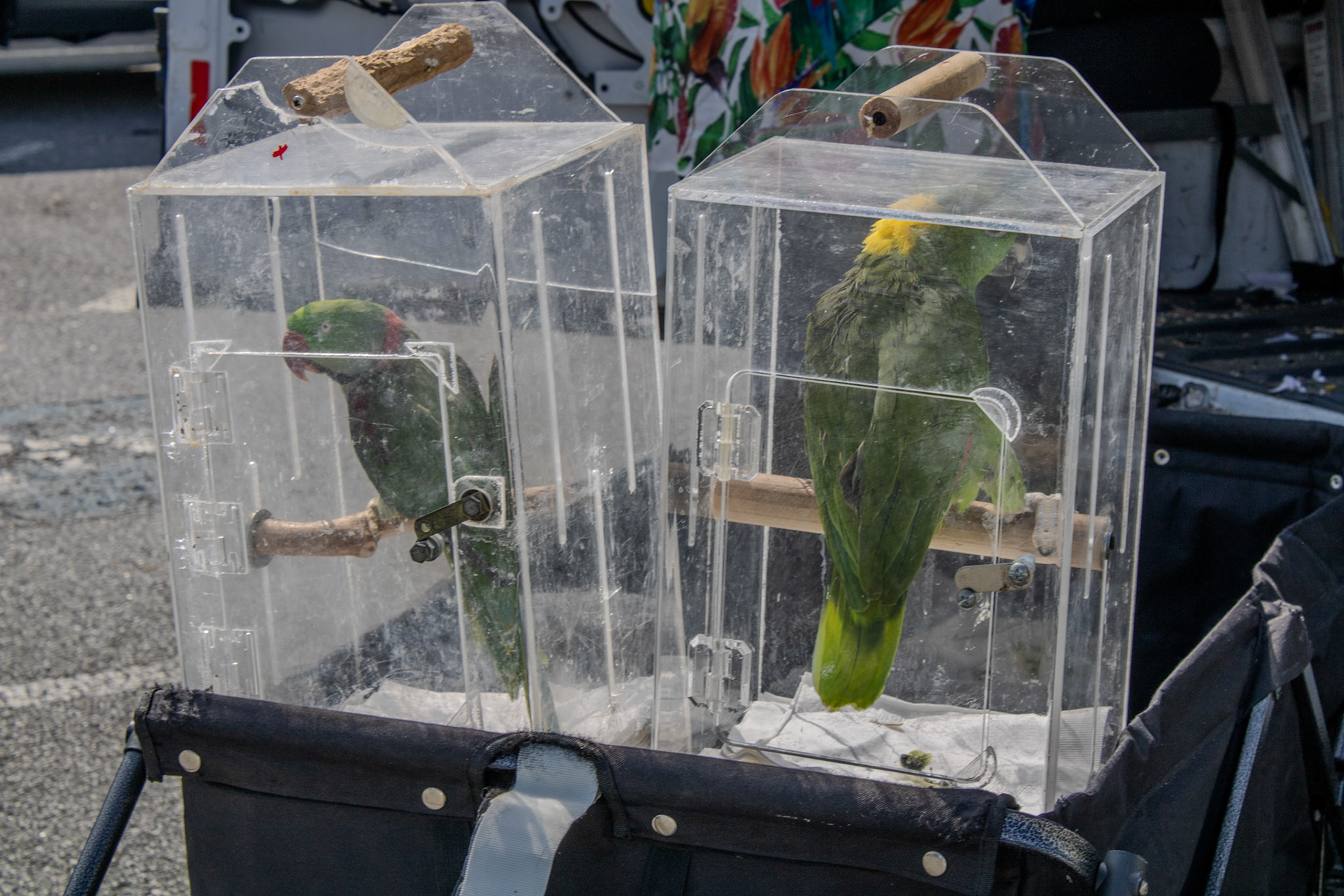 Gwinnett Technical College Alpharetta North Fulton Back To School Bash