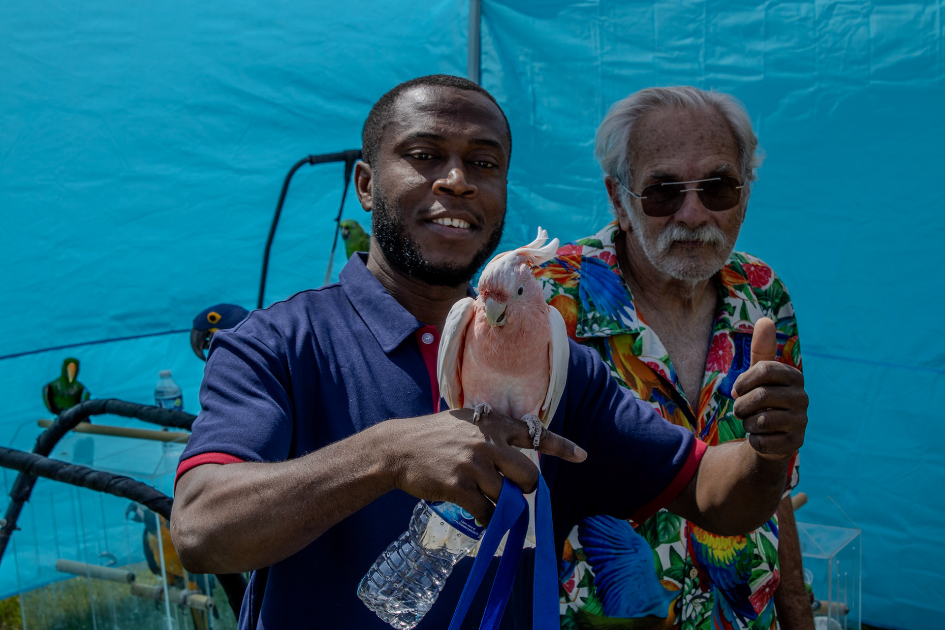 Gwinnett Technical College Alpharetta North Fulton Back To School Bash