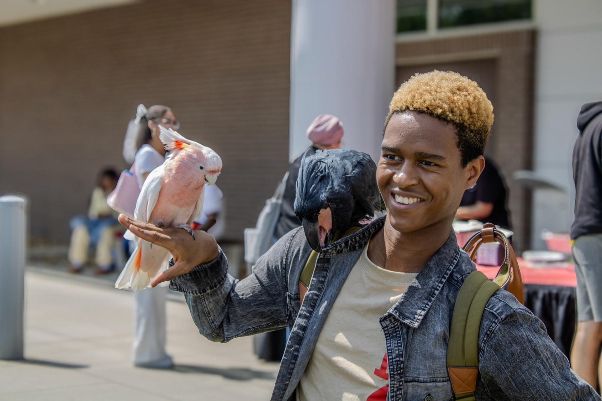 Gwinnett Technical College Alpharetta North Fulton Back To School Bash