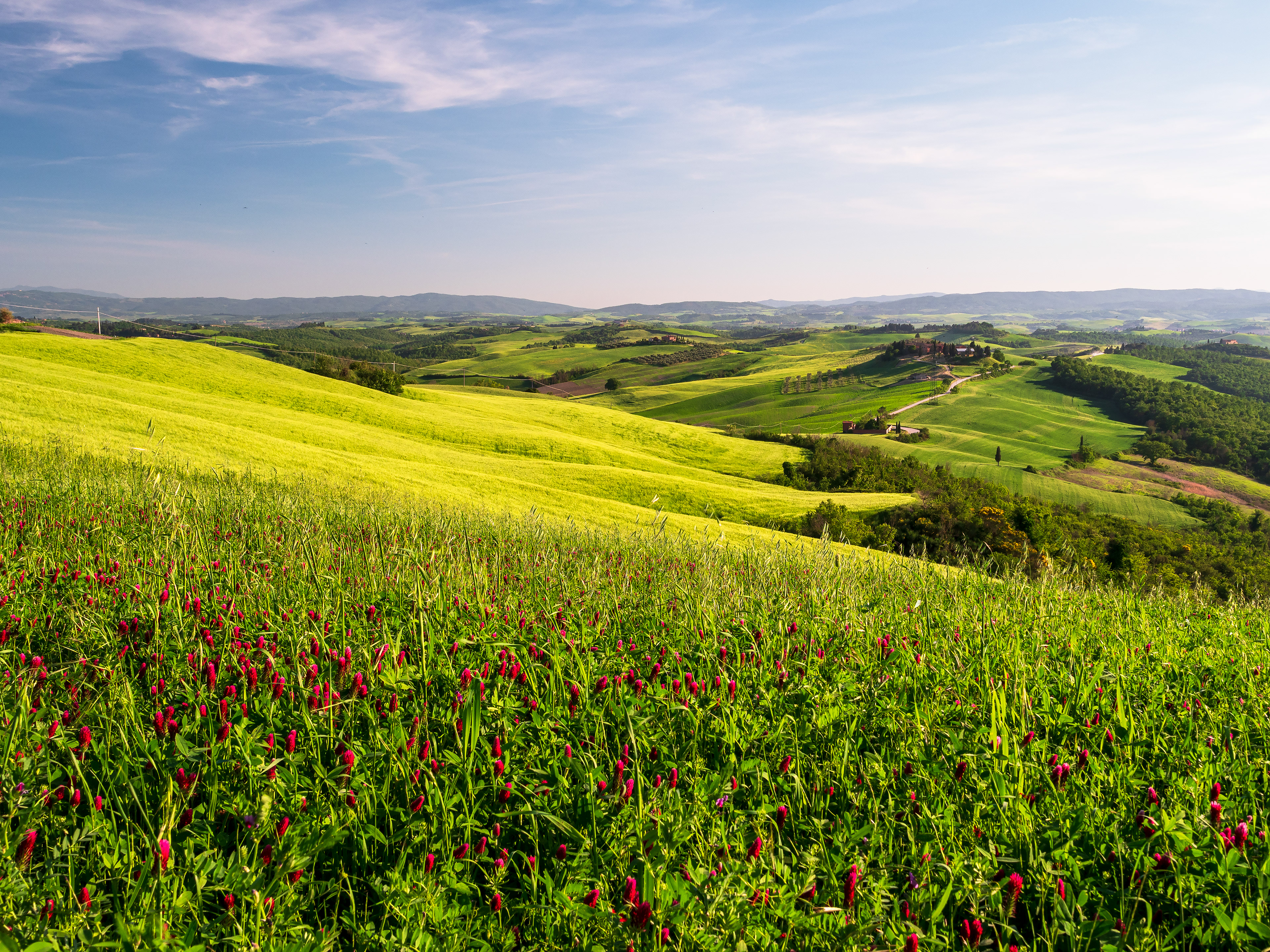 risveglio primaverile