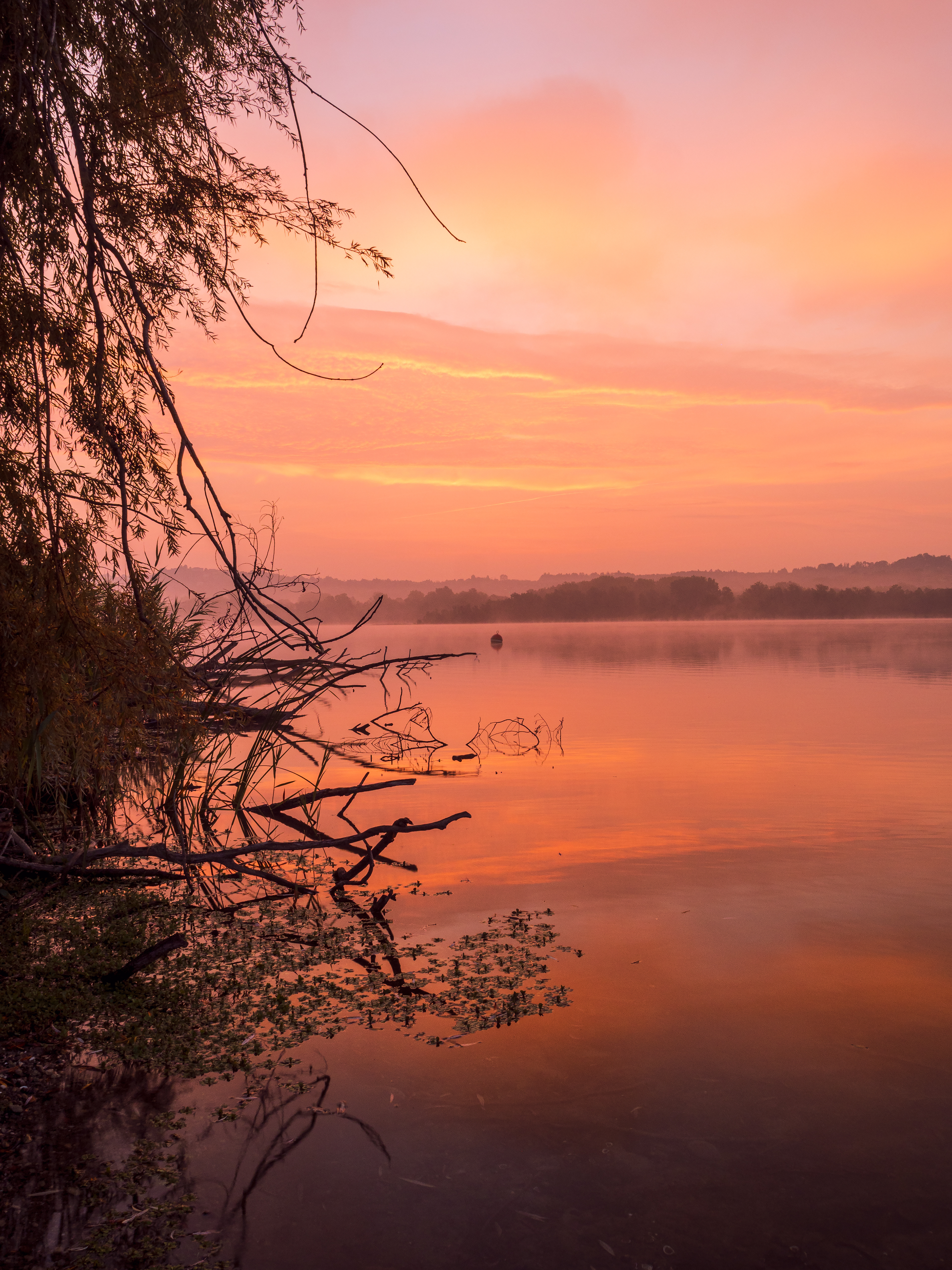 Lago di varese- Alba