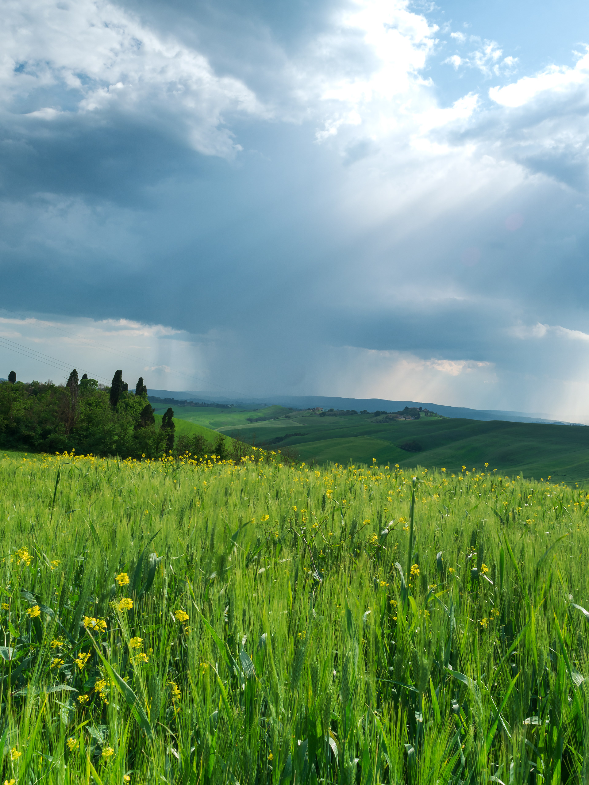 Temporale primaverile