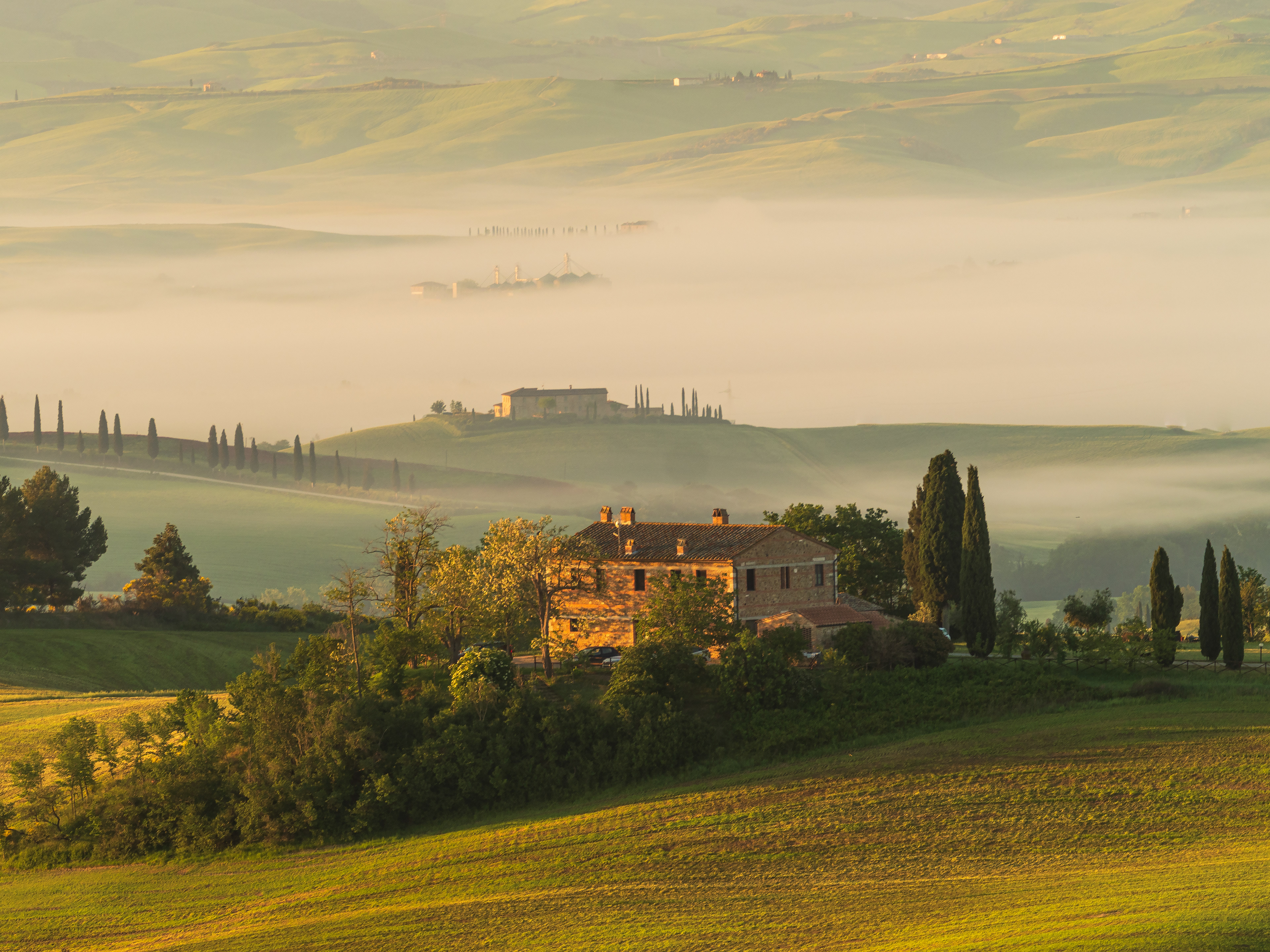 Poderi all'alba