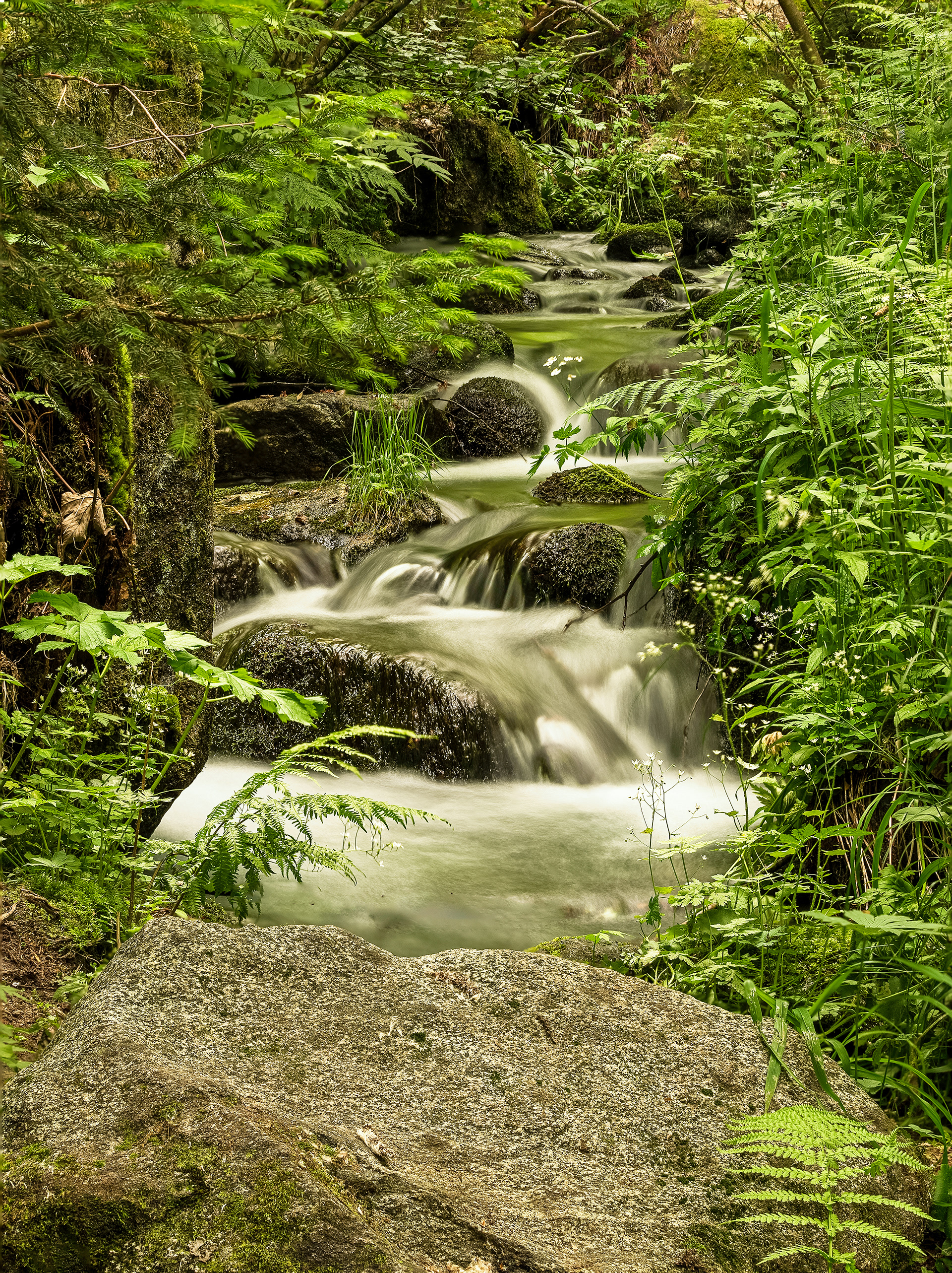 Bagni di Masimo