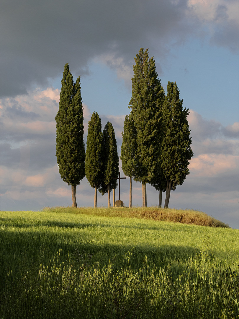 S. Quirico Maggio 2024