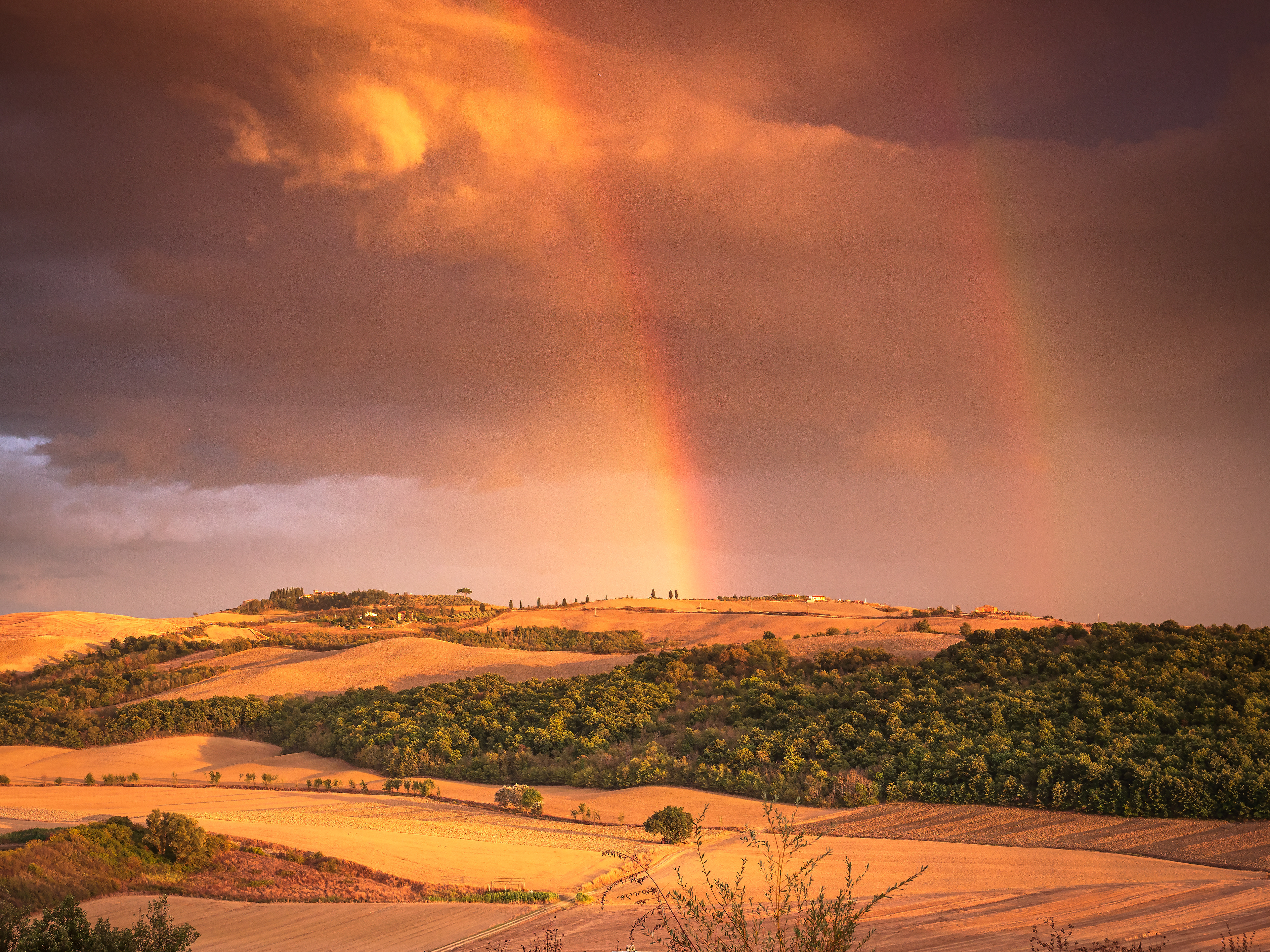 Magico temporale