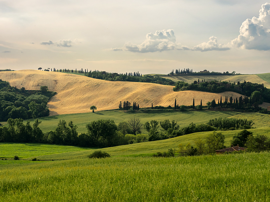 Maggio 2024