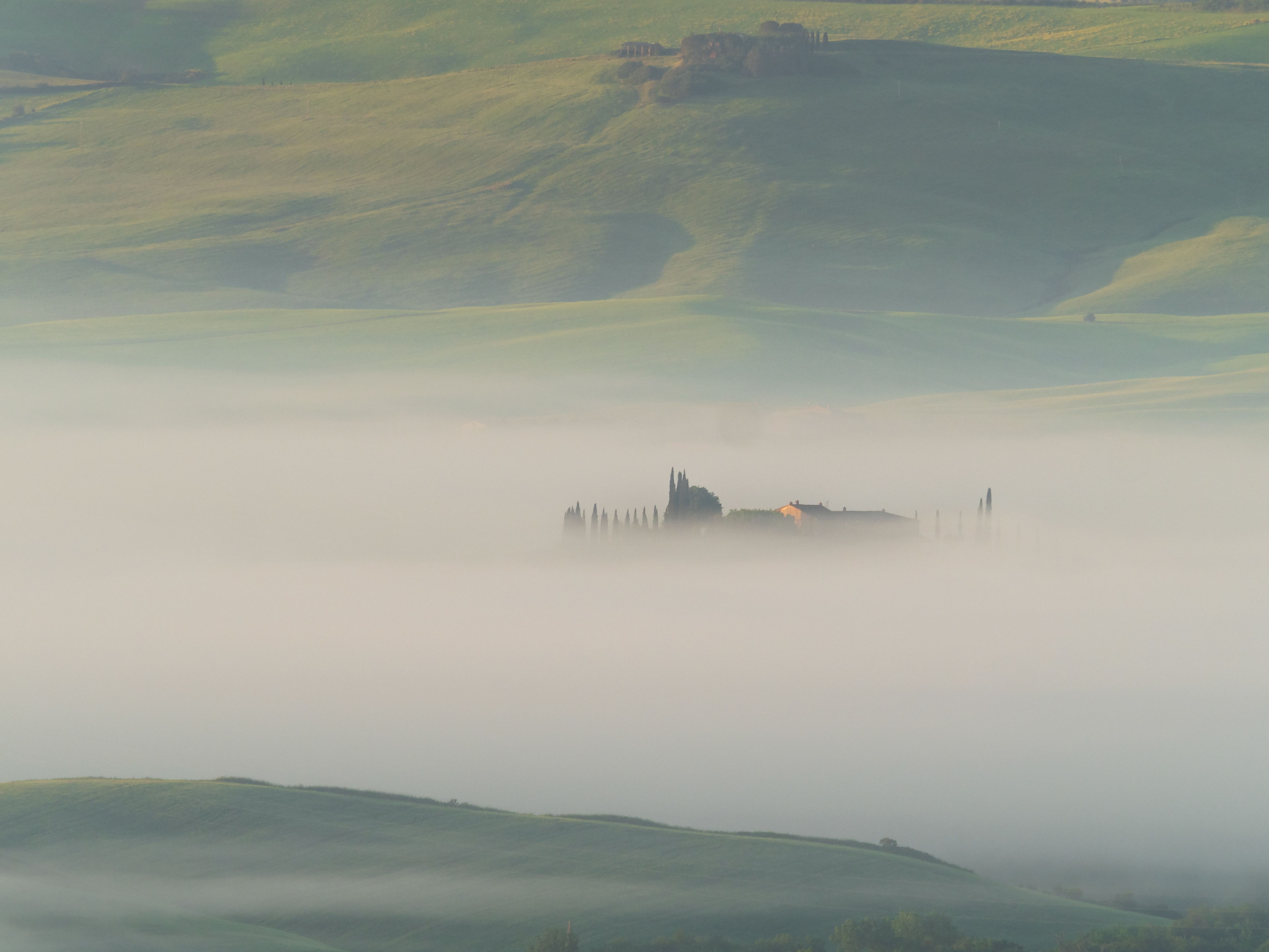 in un mare di nebbia