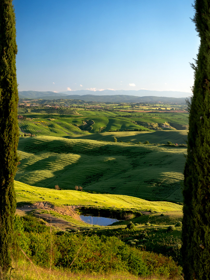 Baccoleno maggio 2024