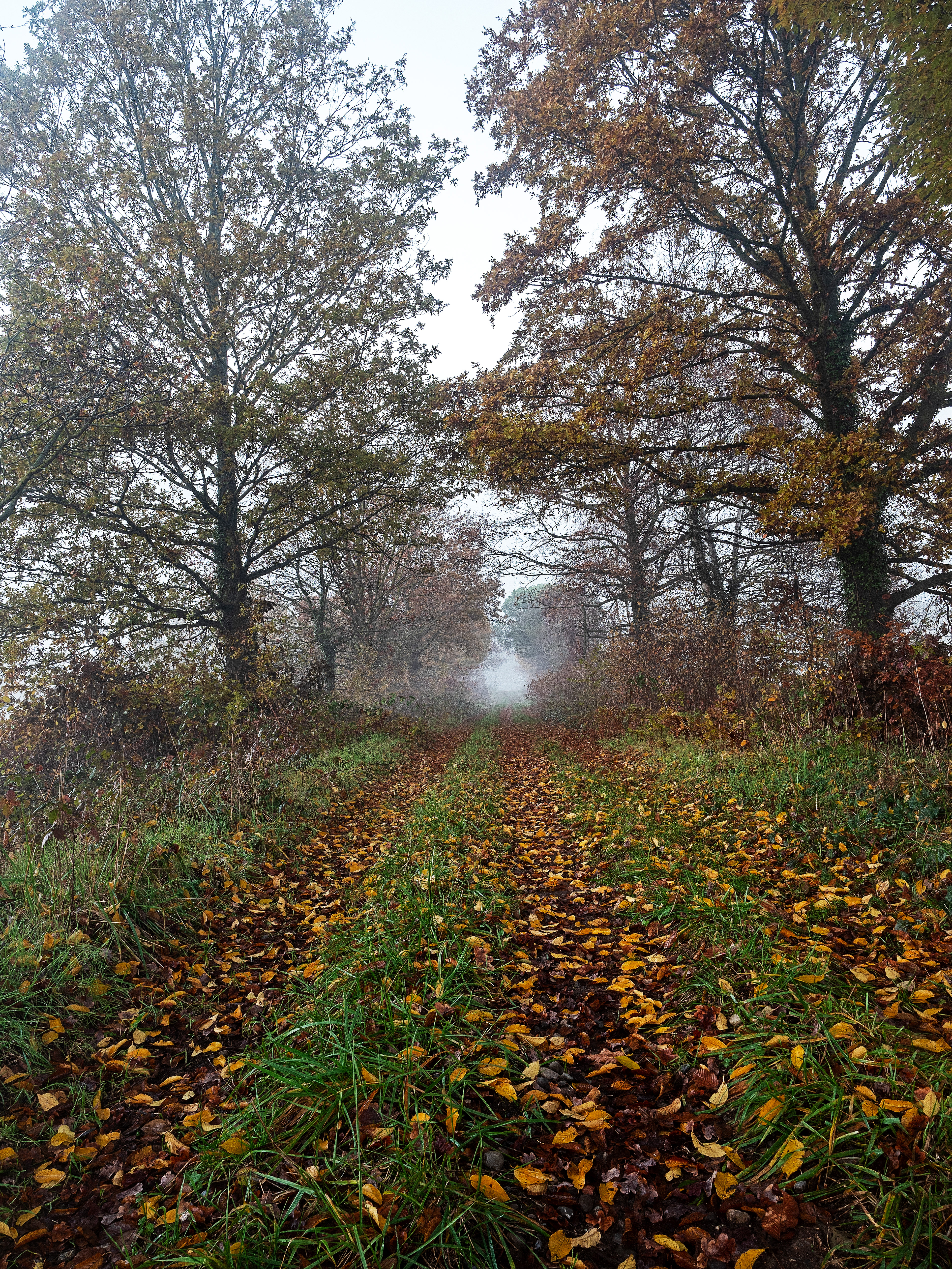 parco delle groane (MI)