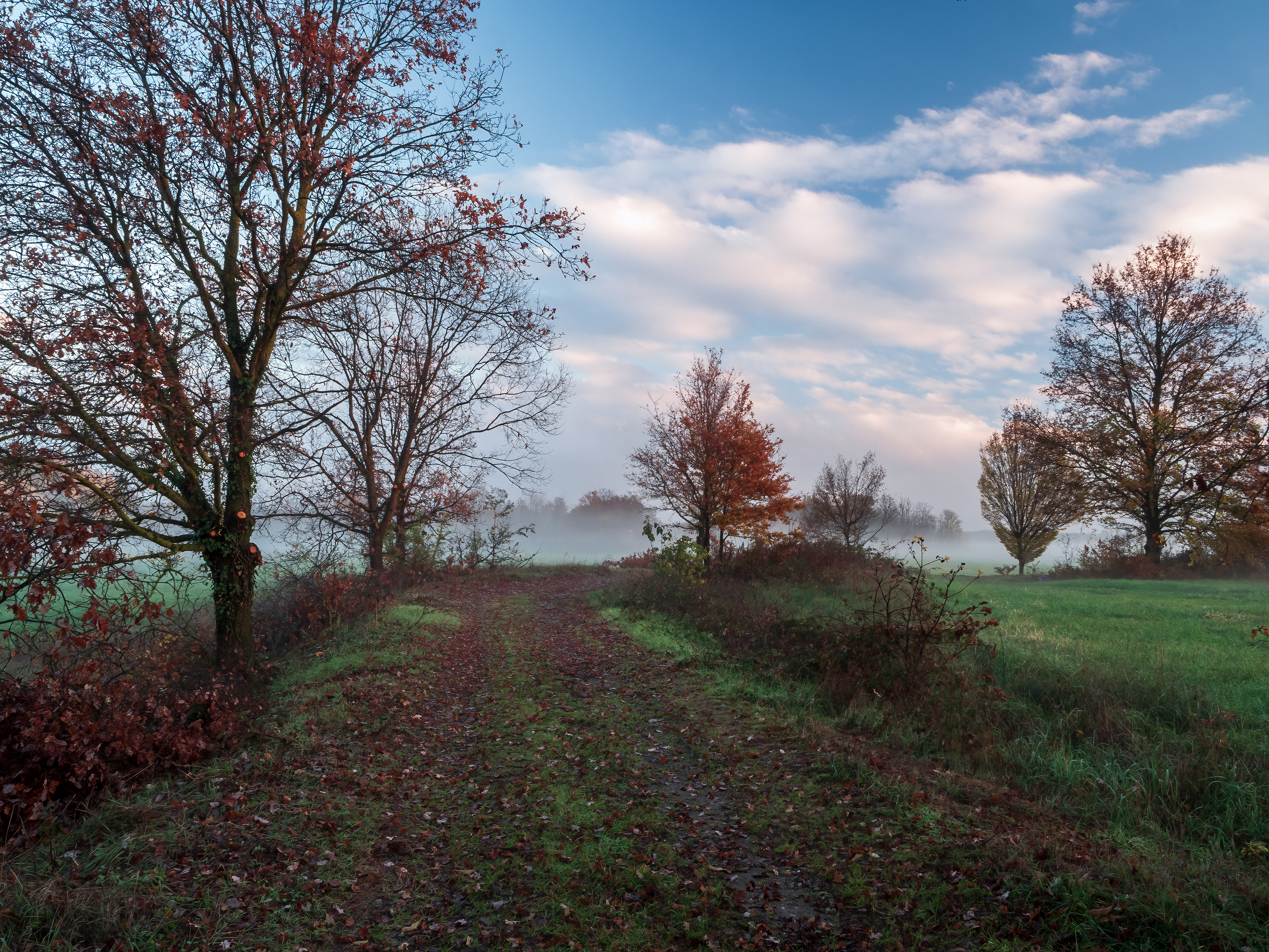 Tramonto invernale nel parco delle Groane (MI)