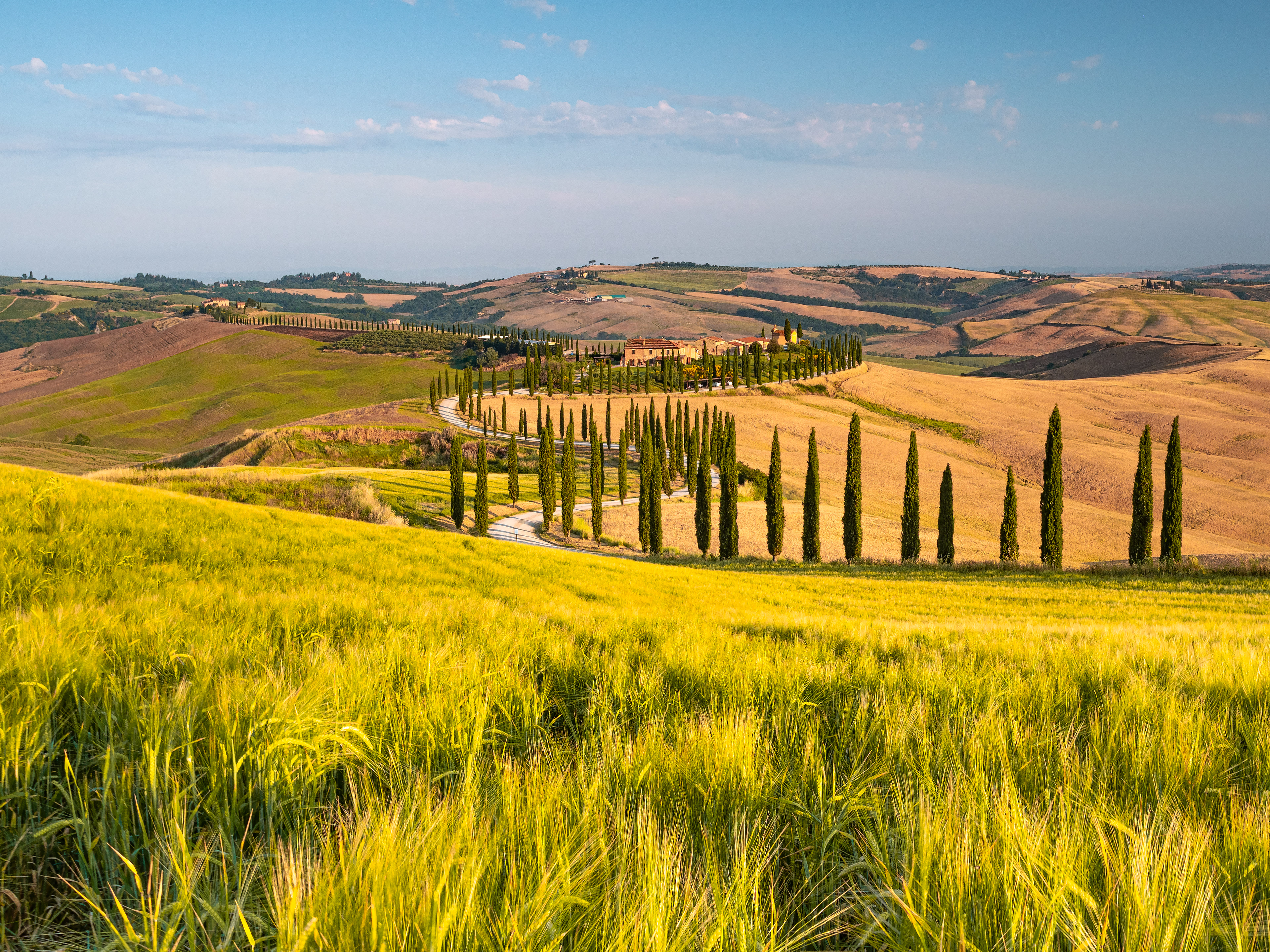 Podere baccoleno_asciano_si