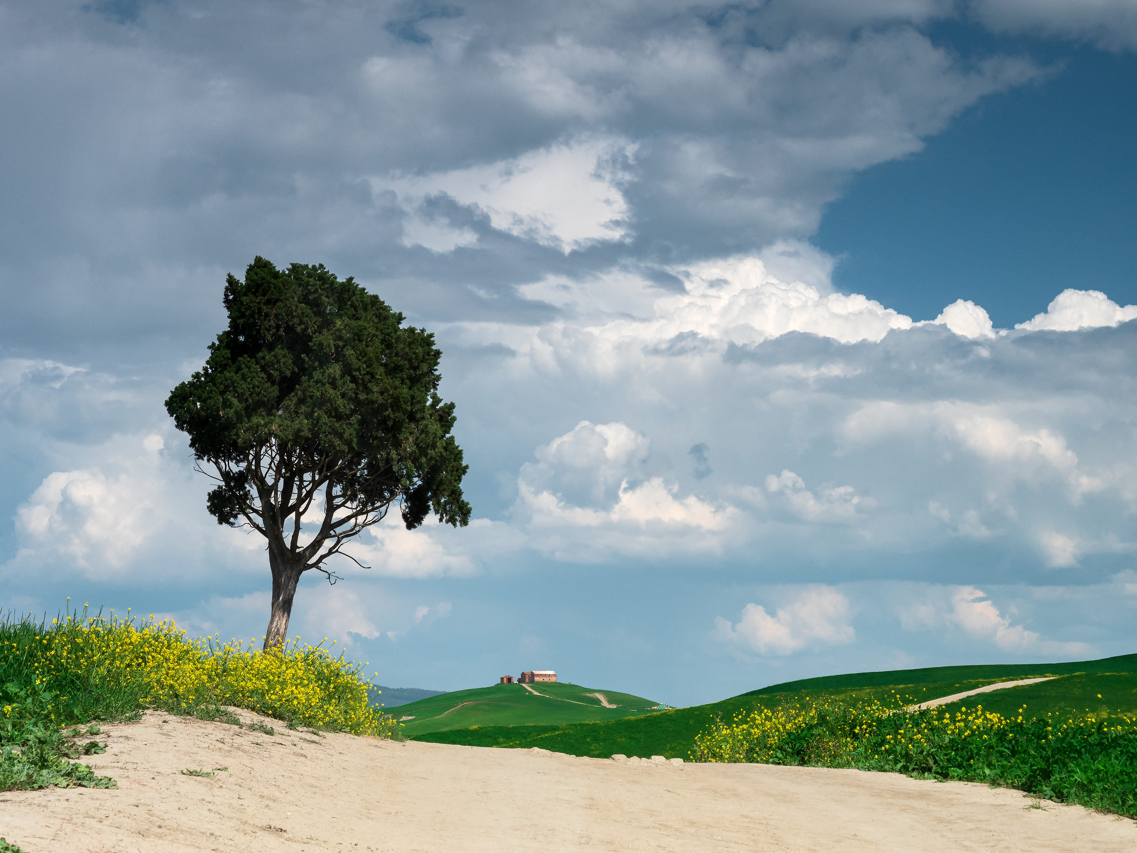 il solitario