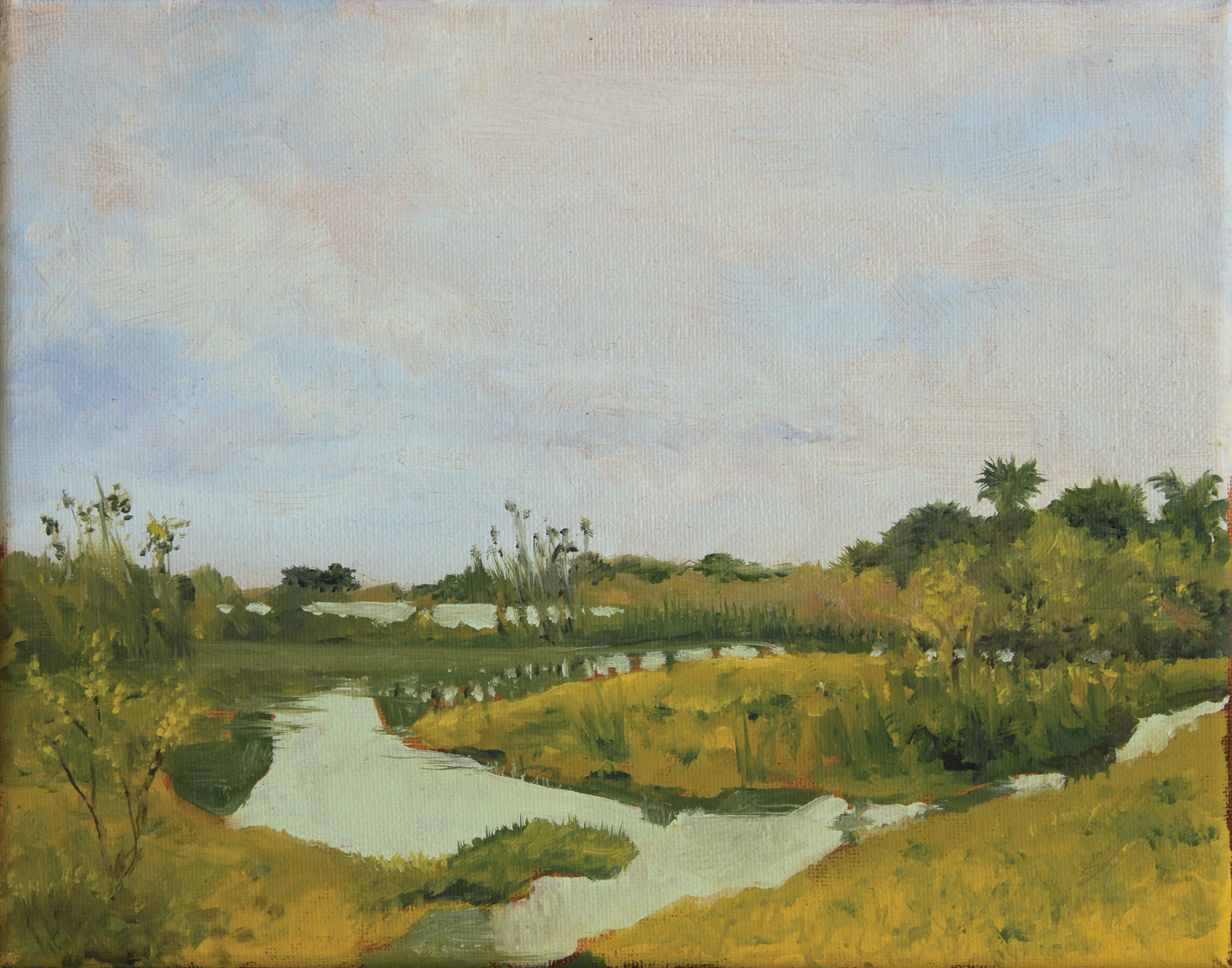 Plein air oil painting of the Florida Everglades