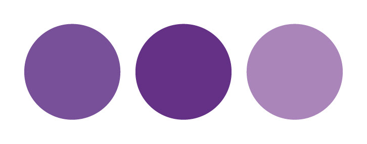 Color Palette