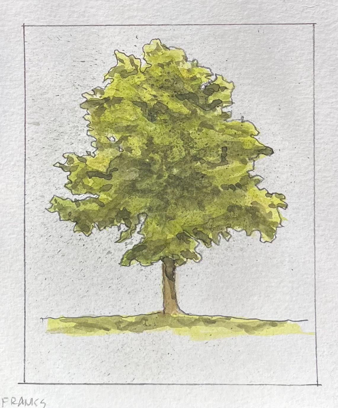Tree Rendering - Watercolor