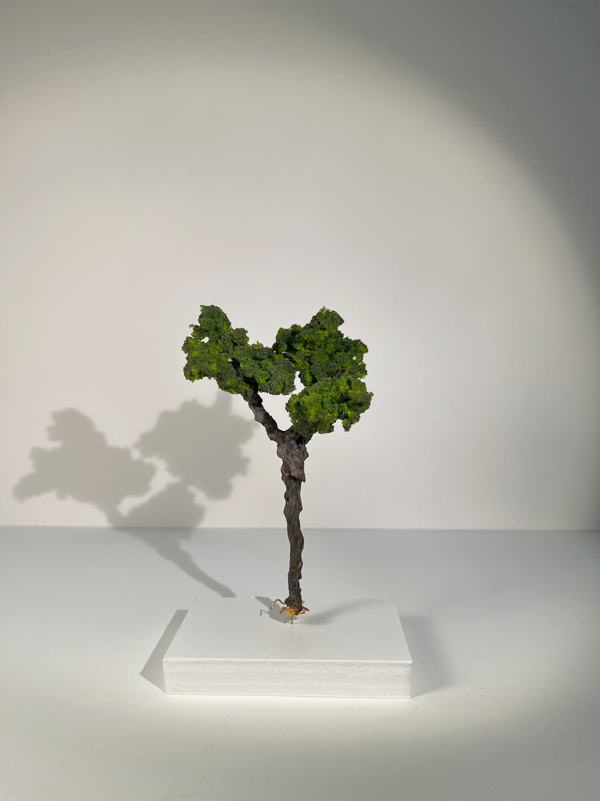 1/4" Tree for L'Orfeo
