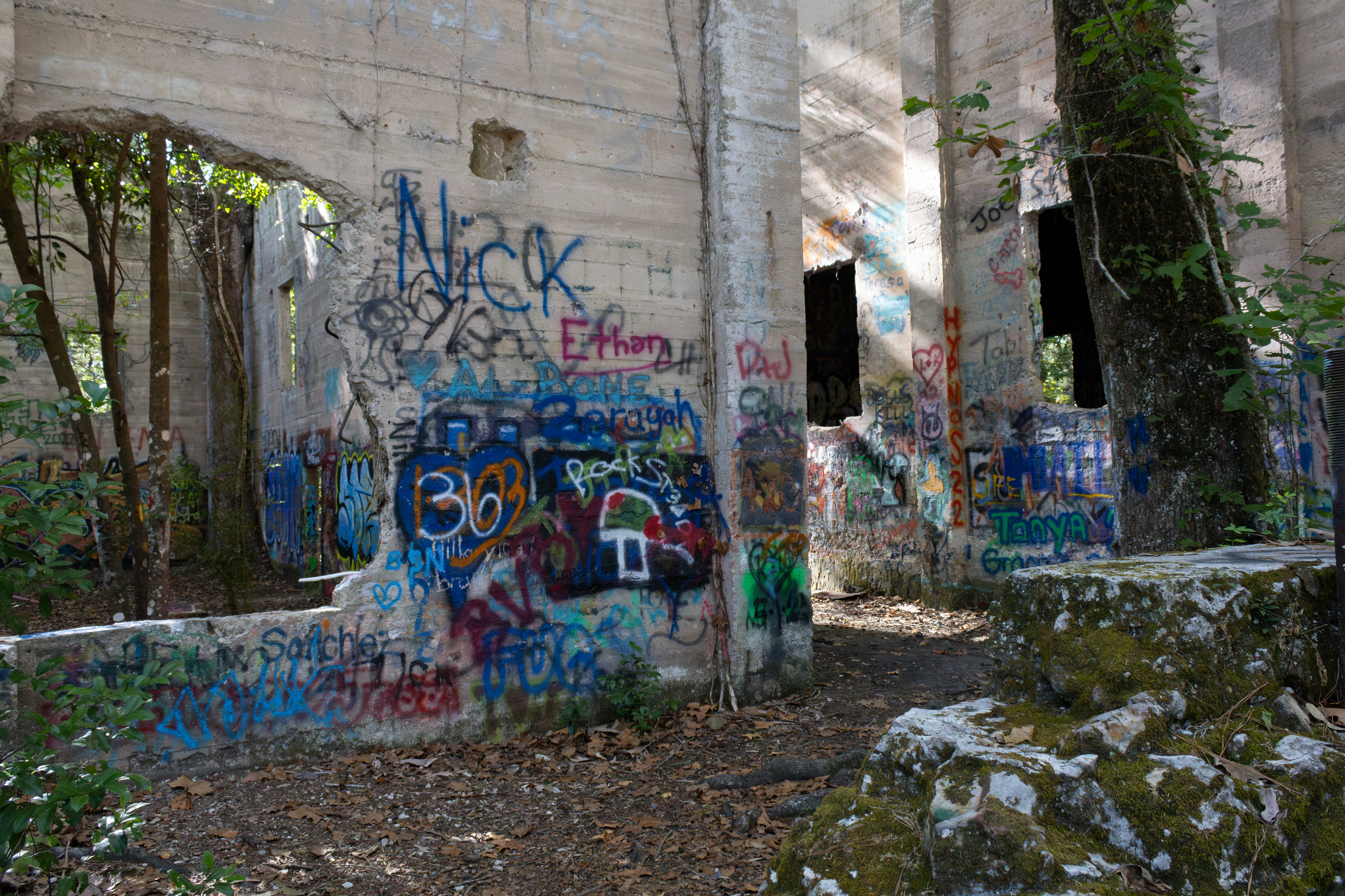 The Abandoned Sawmill #9, Digital RAW File, Digital Photography, 2024