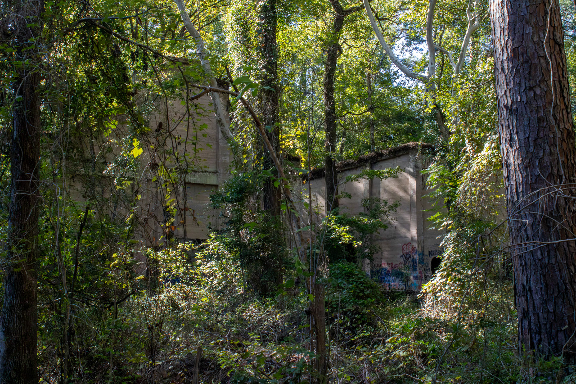 The Abandoned Sawmill #3, Digital RAW File, Digital Photography, 2024