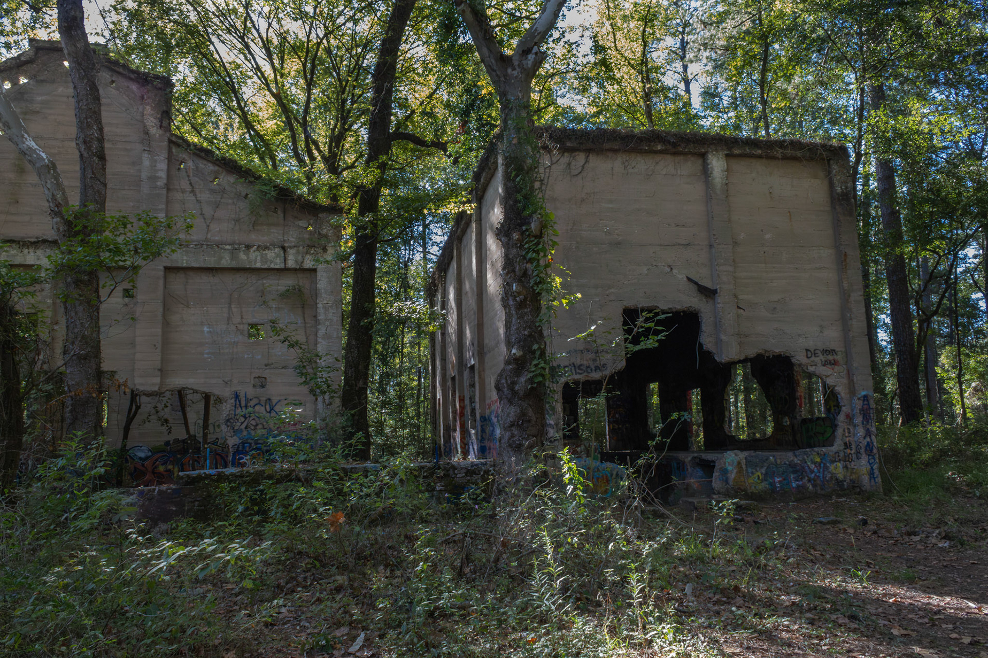 The Abandoned Sawmill #5, Digital RAW File, Digital Photography, 2024