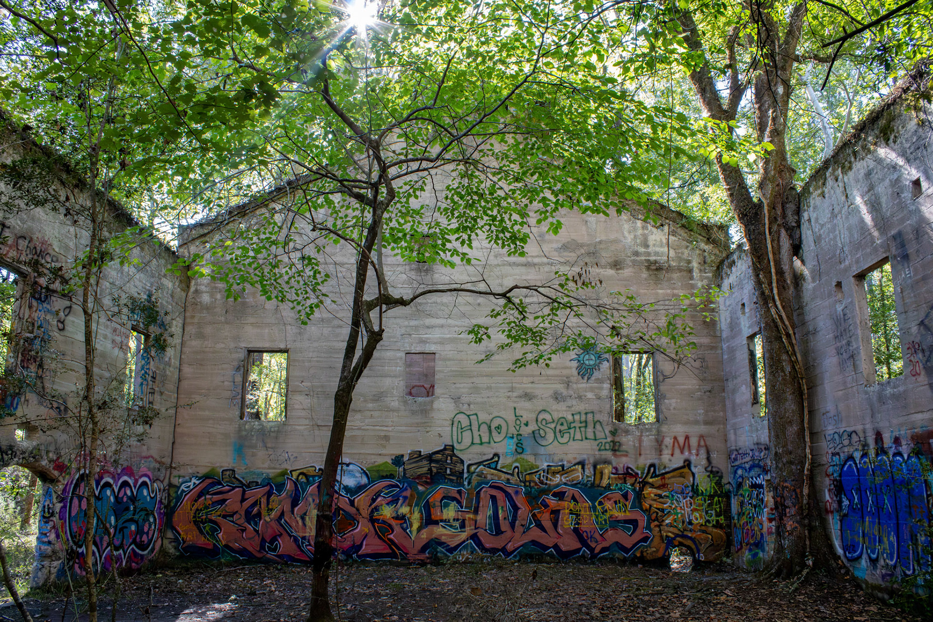 The Abandoned Sawmill #7, Digital RAW File, Digital Photography, 2024