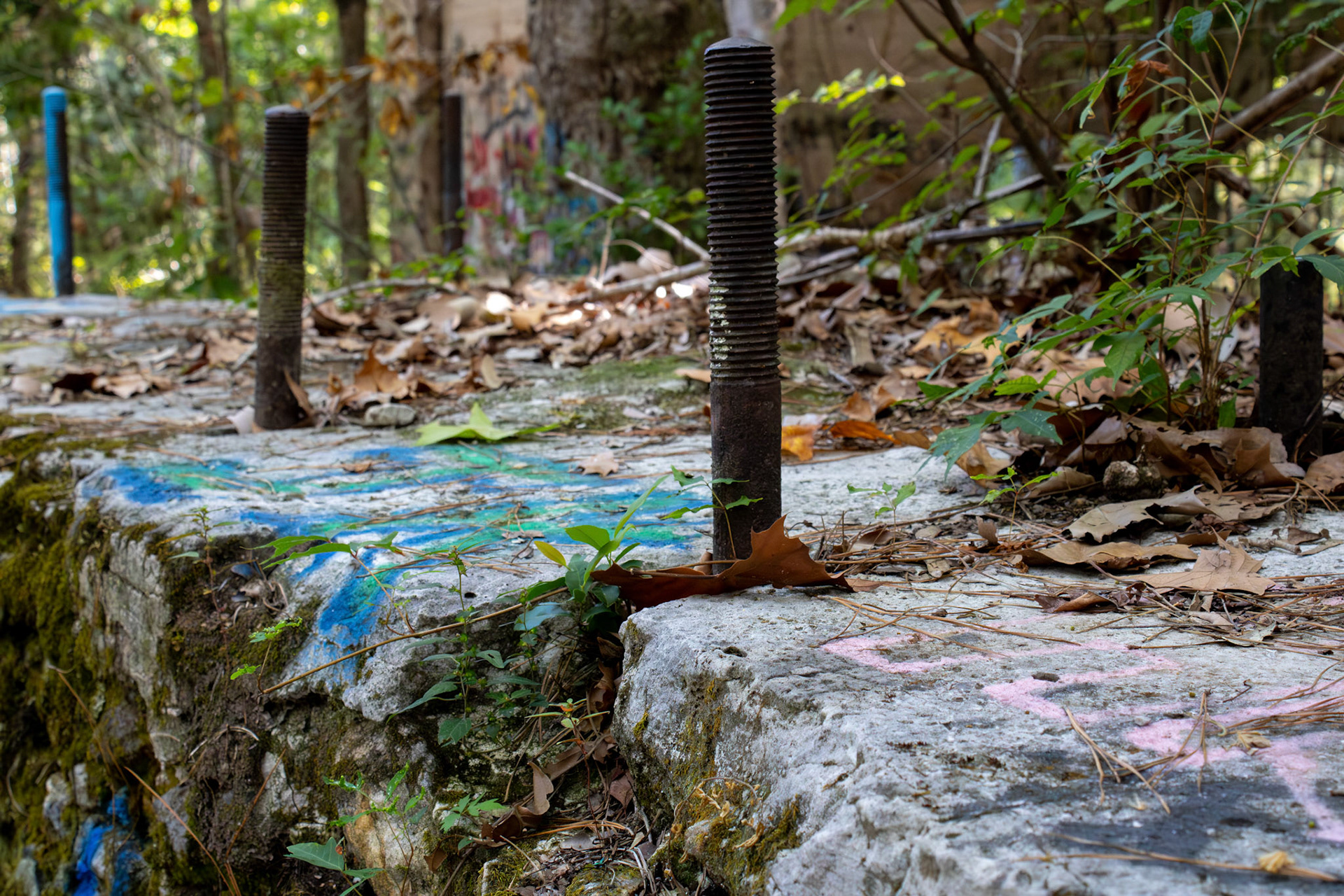 The Abandoned Sawmill #8, Digital RAW File, Digital Photography, 2024