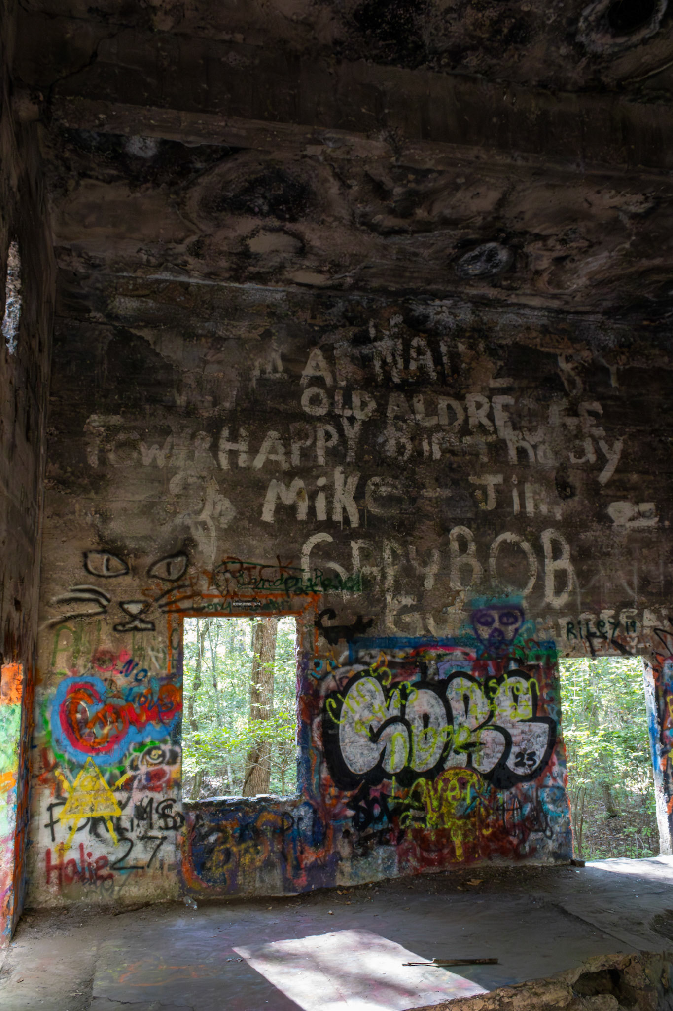 The Abandoned Sawmill #11, Digital RAW File, Digital Photography, 2024