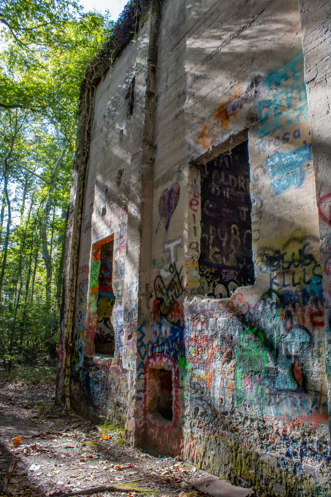 The Abandoned Sawmill #12, Digital RAW File, Digital Photography, 2024