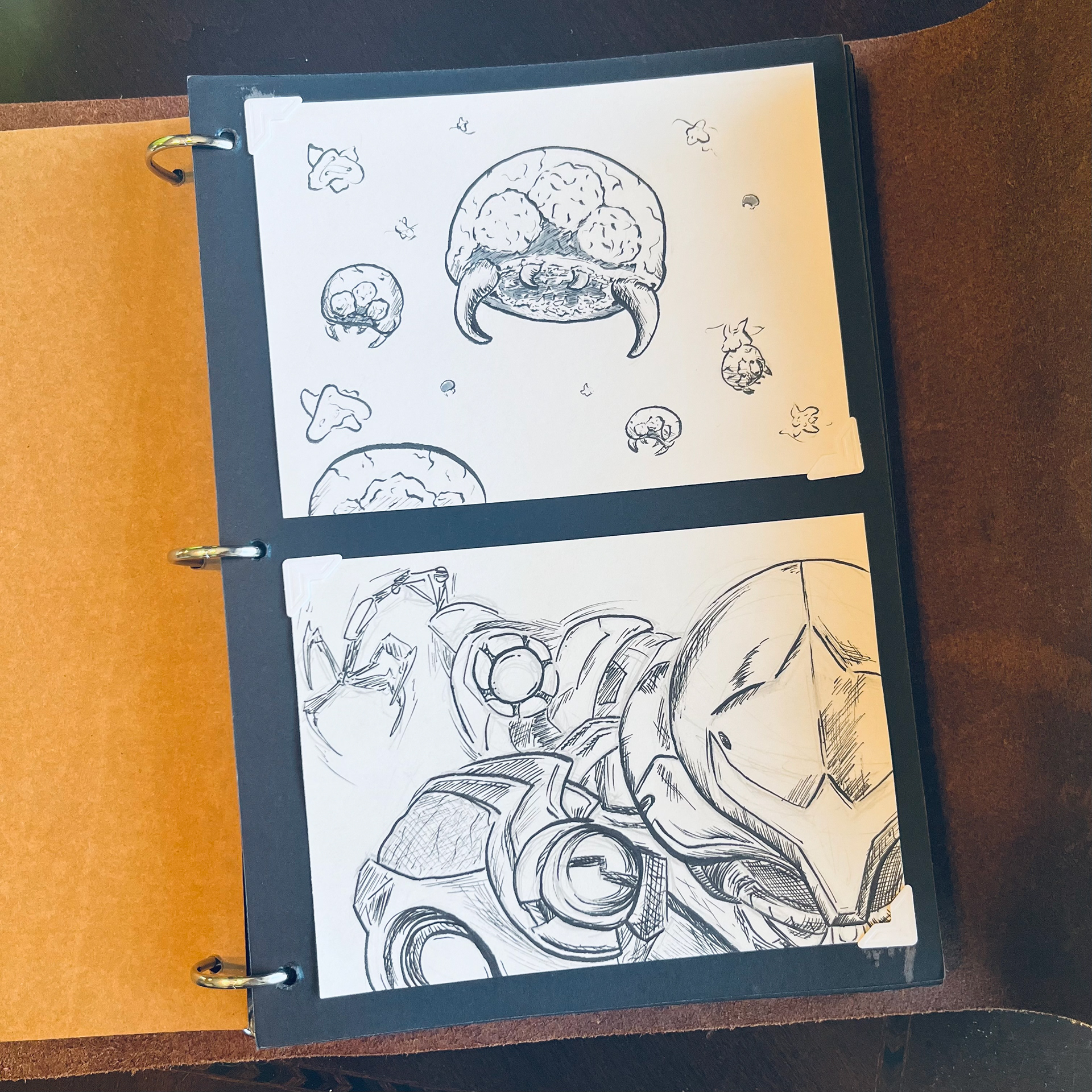 The Book: Page 1, Metroid