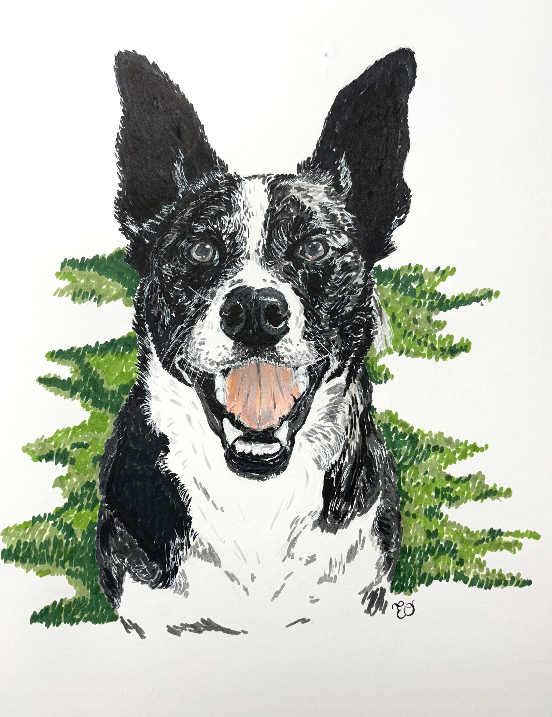 Pet Portrait Commission, 2024