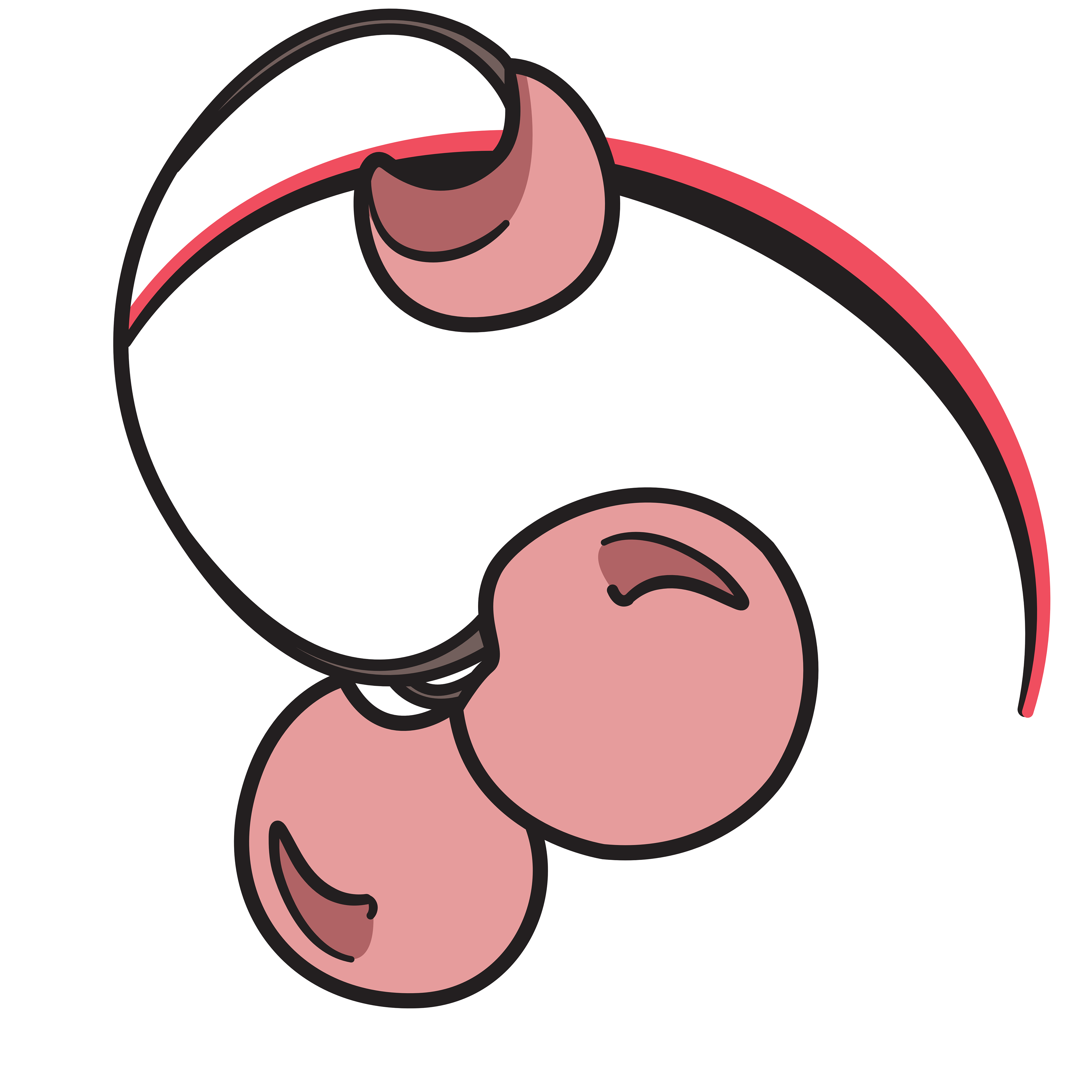 Pair O' Cherries