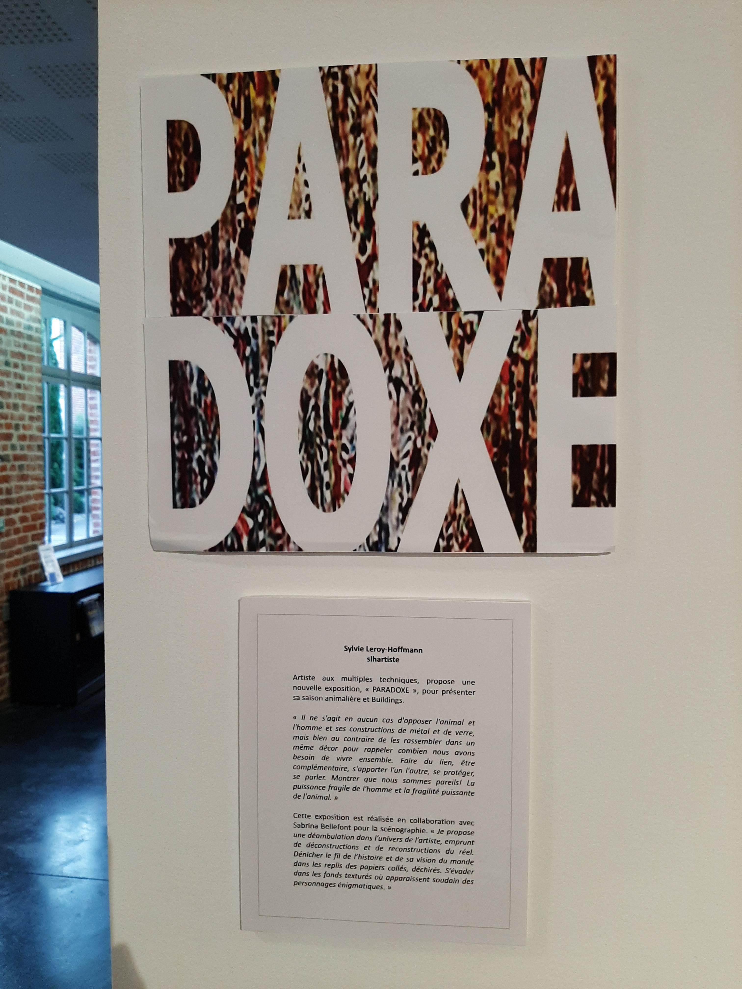 EXPOSITION PARADOXES FRANCE galerie de la corderie